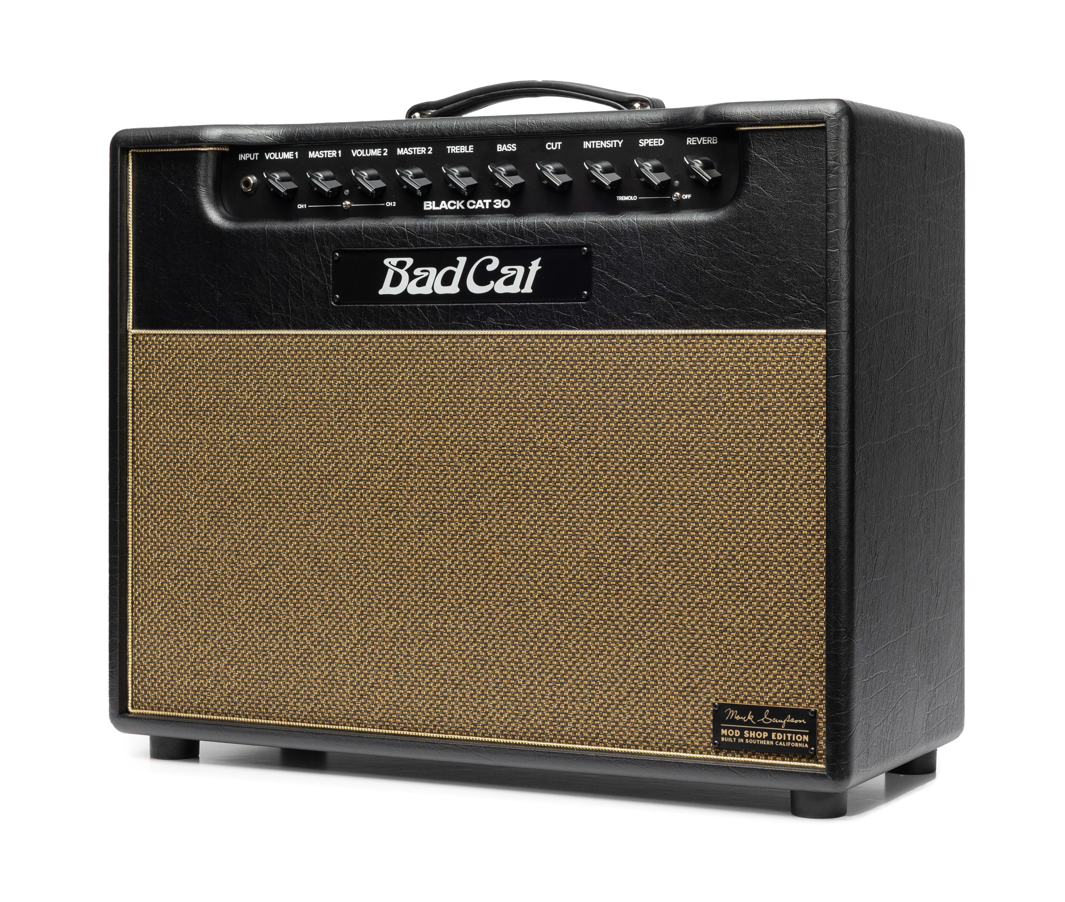 Bad Cat Mod Shop Black Cat 30 1x12 Valve Amp Combo - BCMS_30_combo_right.jpg