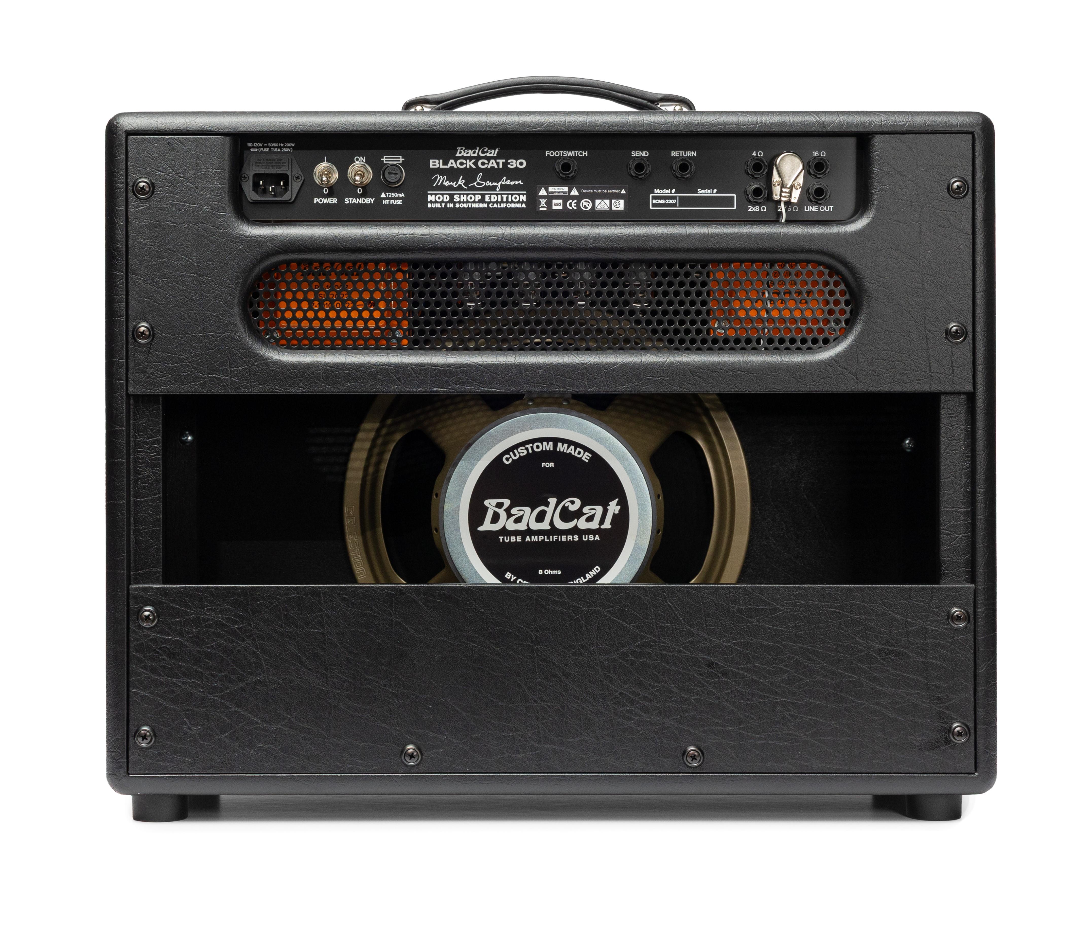 Bad Cat Mod Shop Black Cat 30 1x12 Valve Amp Combo - BCMS_30_combo_rear.jpg