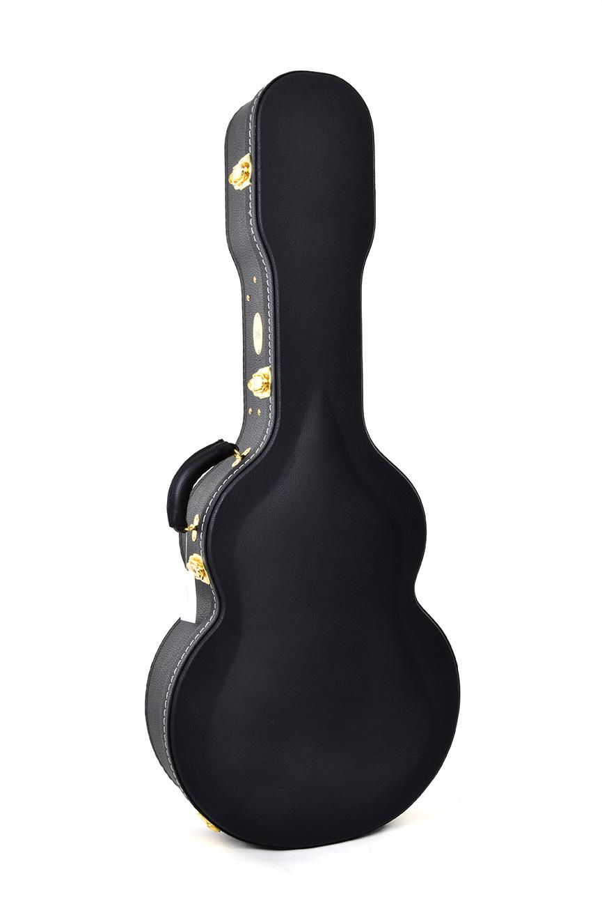Sigma SATA 400 Archtop Guitar - SATA-hardshell-3.jpg