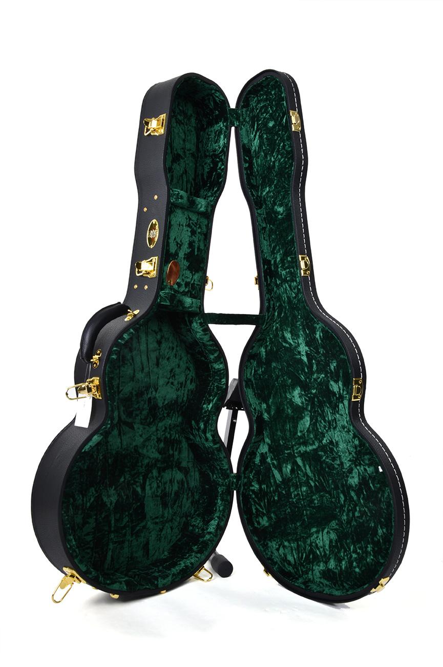 Sigma SATA 400 Archtop Guitar - SATA-hardshell-2-1.jpg