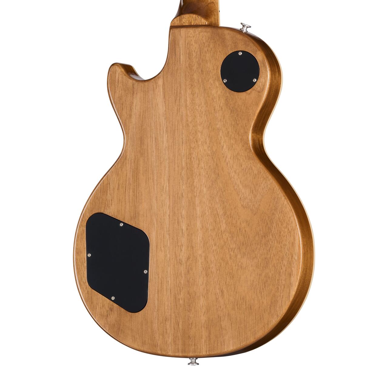 Gibson Les Paul Standard 50s Double Trouble in Vintage Honey Burst  - Gibson USA Les Paul Standard 60s Double Trouble Transactional Photography LPS6DCW25VHNH1_4_BackBody_compressed.jpg