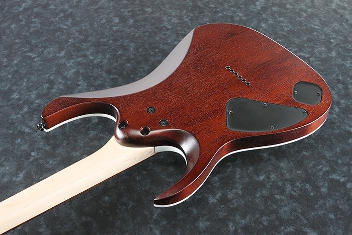 Ibanez RGA42FM-DEF Electric Guitar in Dragon Eye Burst Flat - p_region_RGA42FM_DEF_1P_07_sub_2.jpg