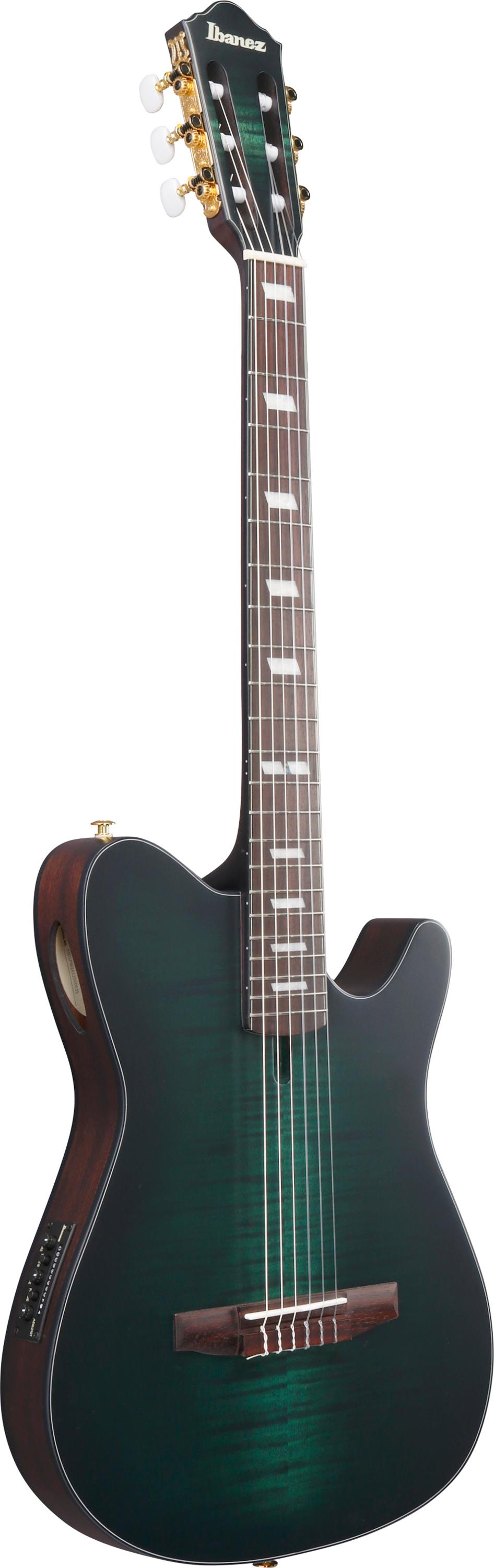 Ibanez FRH20FMN-DGL FRH Series Nylon Electro Acoustic in Deep Emerald Green - FRH20FMN_DGL_5B_01_E.jpg