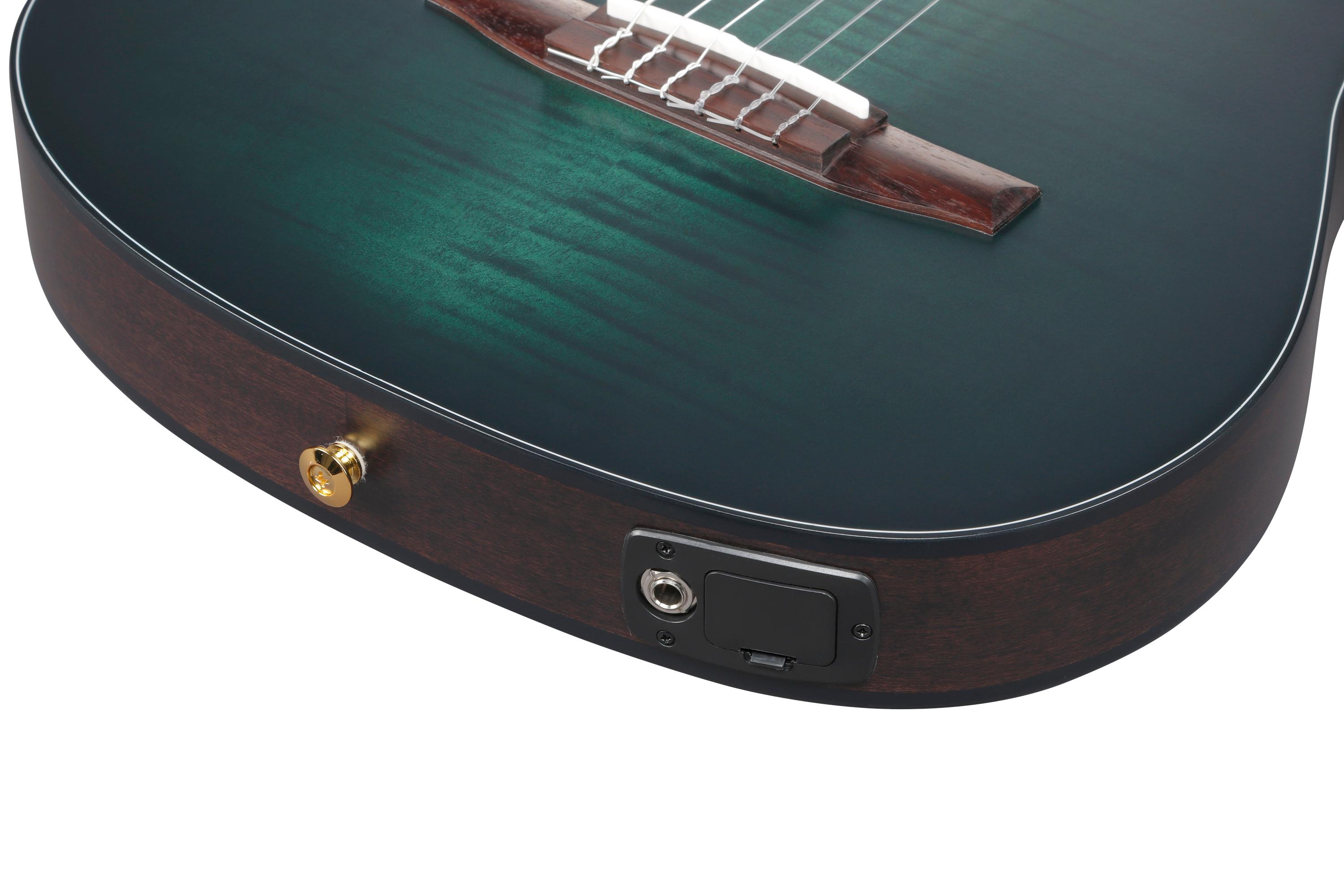 Ibanez FRH20FMN-DGL FRH Series Nylon Electro Acoustic in Deep Emerald Green - FRH20FMN_DGL_5B_01_M.jpg