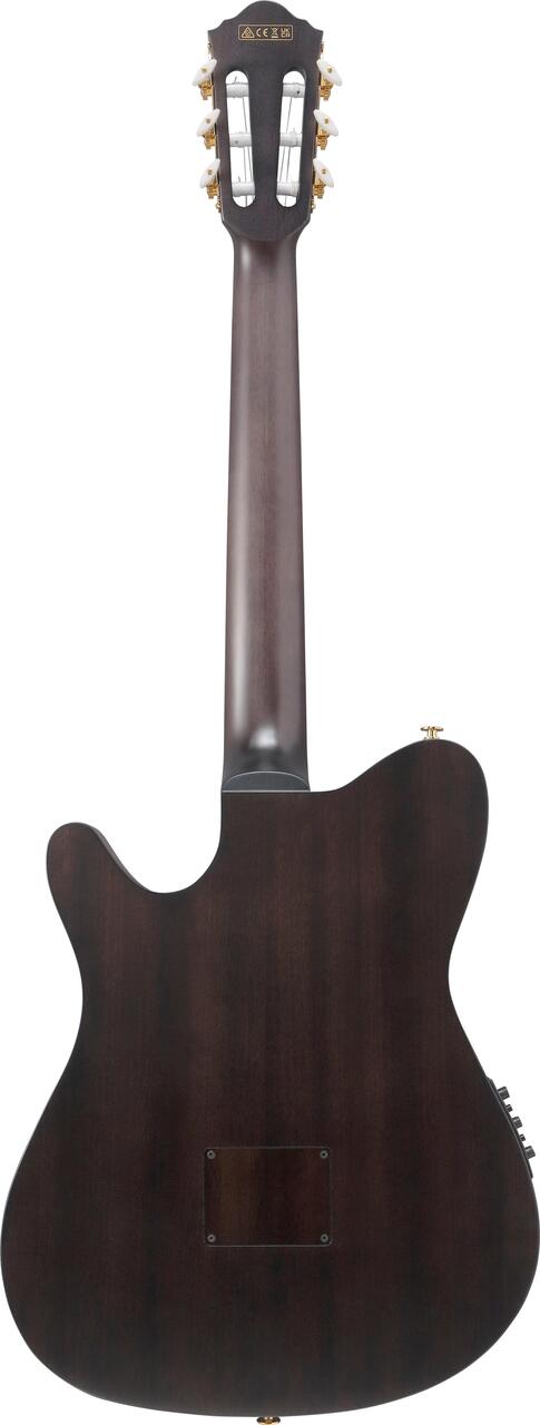 Ibanez FRH20FMN フレイムメイプルトップ エレガットギター DGL FRH20FMN Ibanez エレガット DGL ギター