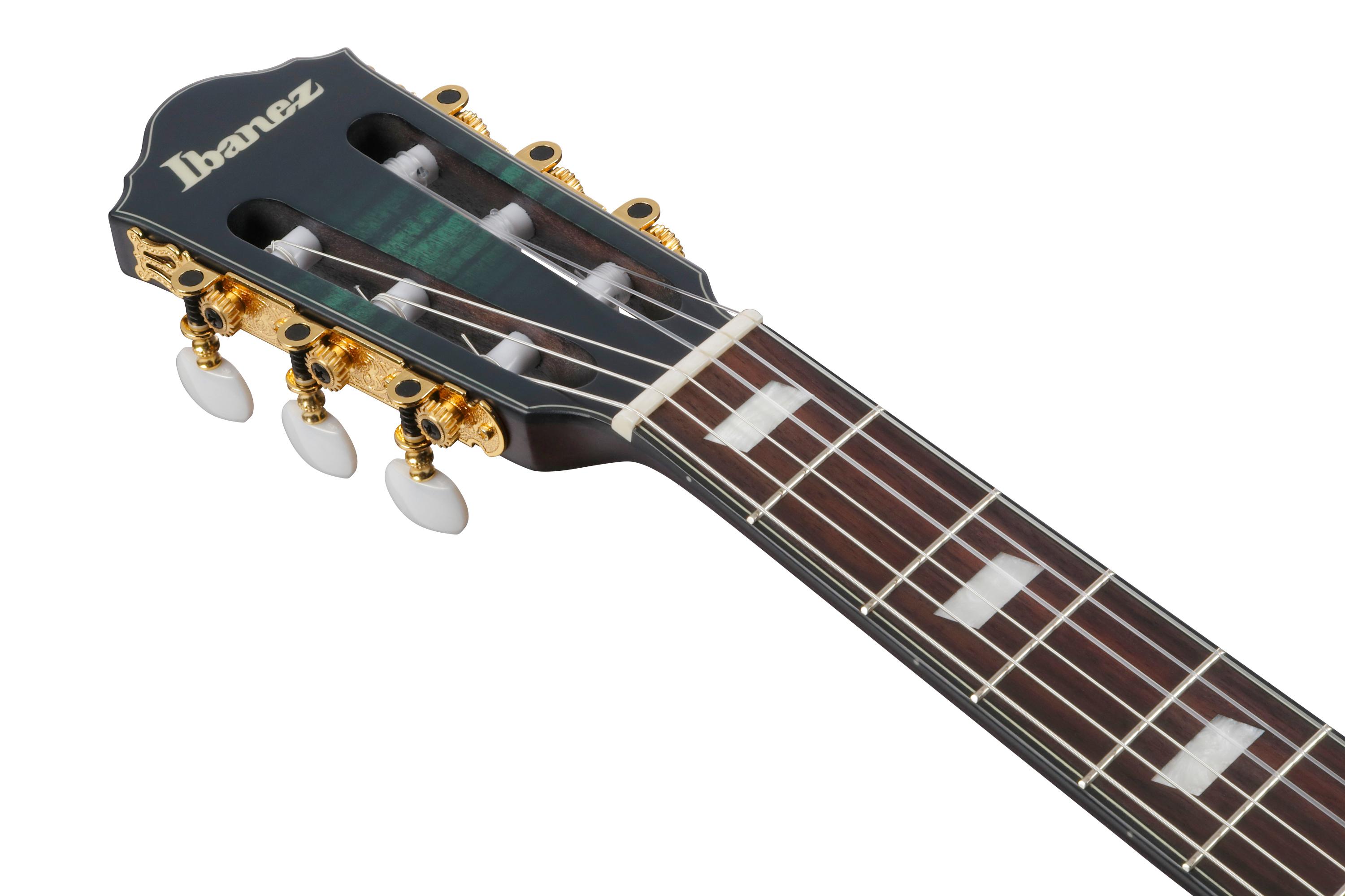 Ibanez FRH20FMN-DGL FRH Series Electro Acoustic in Deep Emerald Green - FRH20FMN_DGL_5B_01_J.jpg