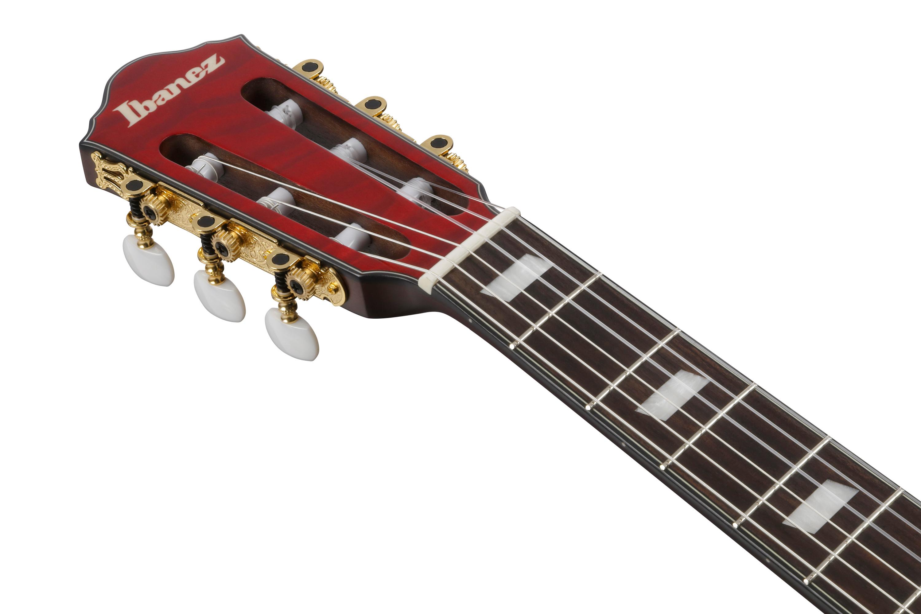 Ibanez FRH20QMN-WRL FRH Series Electro Acoustic in Wine Red - FRH20QMN_WRL_5B_01_J.jpg