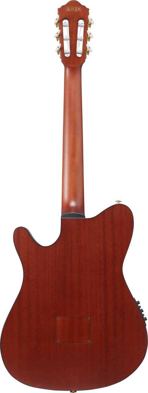 Ibanez FRH20SMN-TCL FRH Series Nylon Electro Acoustic in Tobacco Burst - FRH20SMN_TCL_5B_01_C.jpg