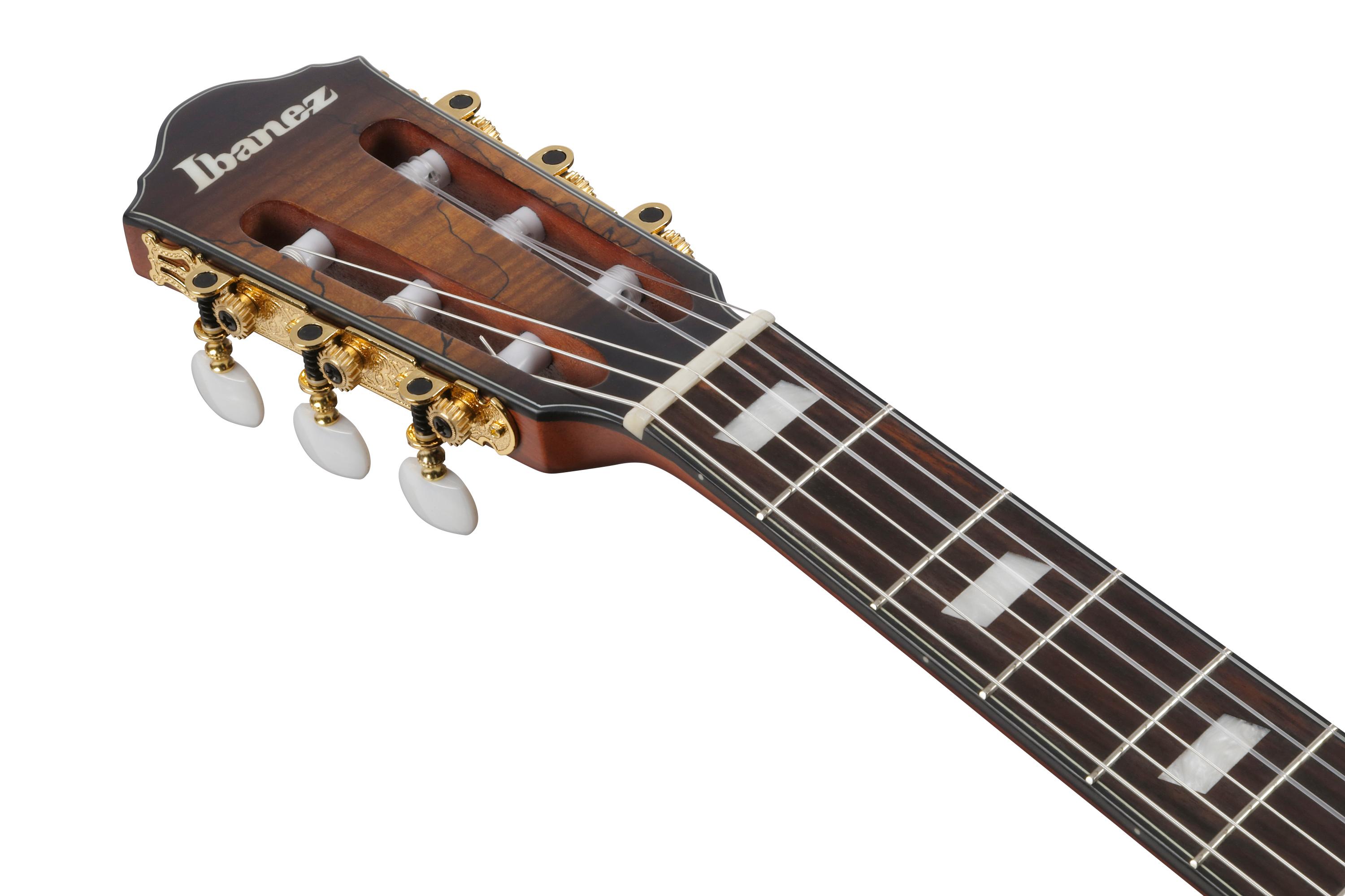 Ibanez FRH20SMN-TCL FRH Series Nylon Electro Acoustic in Tobacco