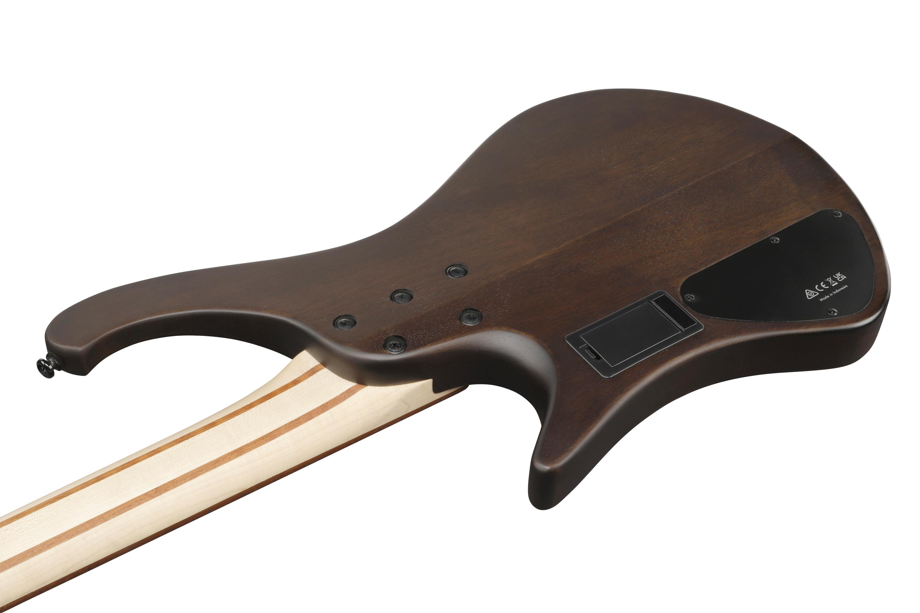 Ibanez EHB600-WNF EHB Series Bass Guitar in Walnut Flat - EHB600_WNF_1P_01_I.jpg