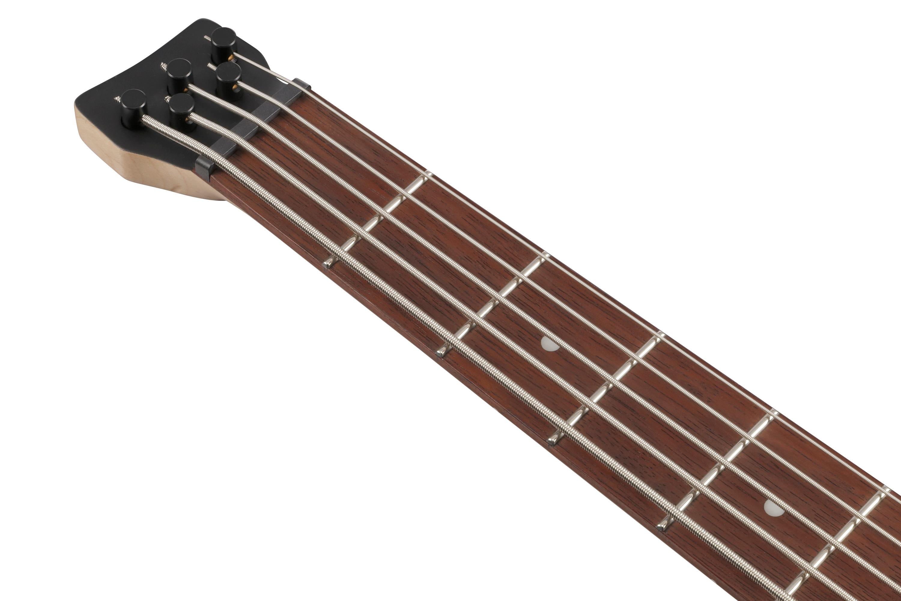 Ibanez EHB605-WNF EHB Series 5-String Bass Guitar in Walnut Flat - EHB605_WNF_1P_01_J.jpg