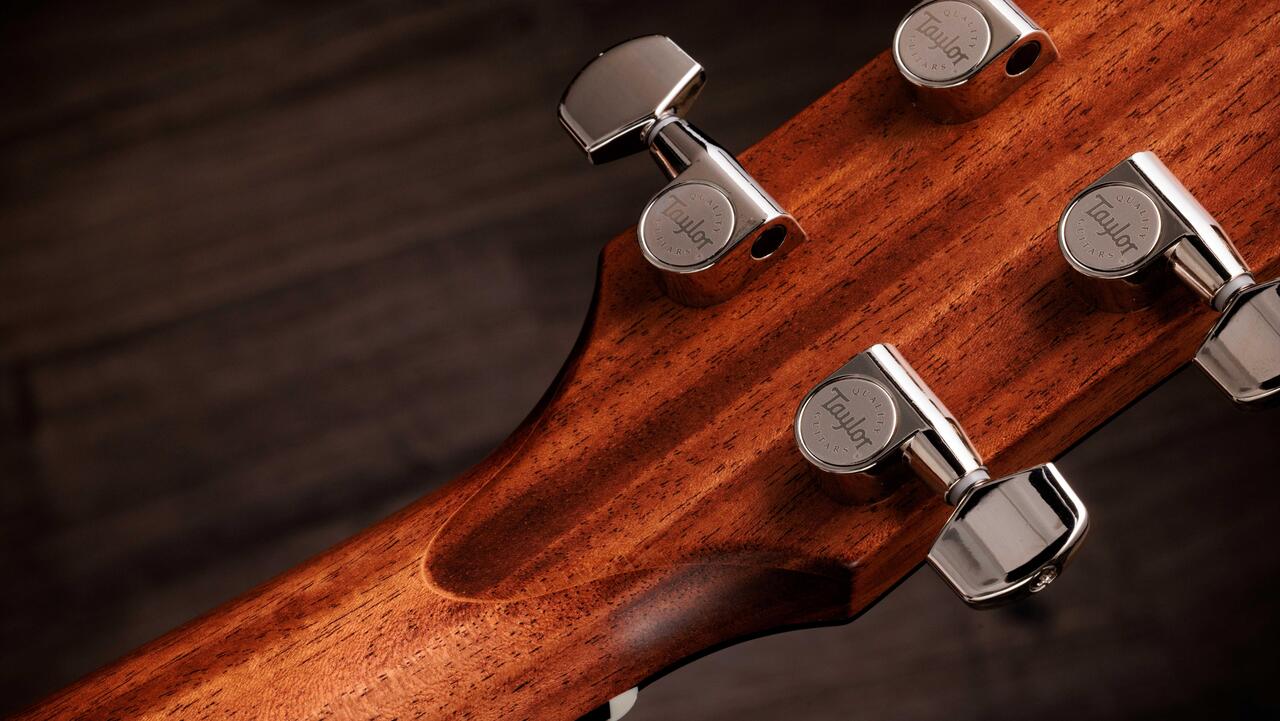 Taylor Gold Label 514e Electro Acoustic Guitar - Taylor-Gold-Label-514e-1204185095-gallery-15-2025.jpg