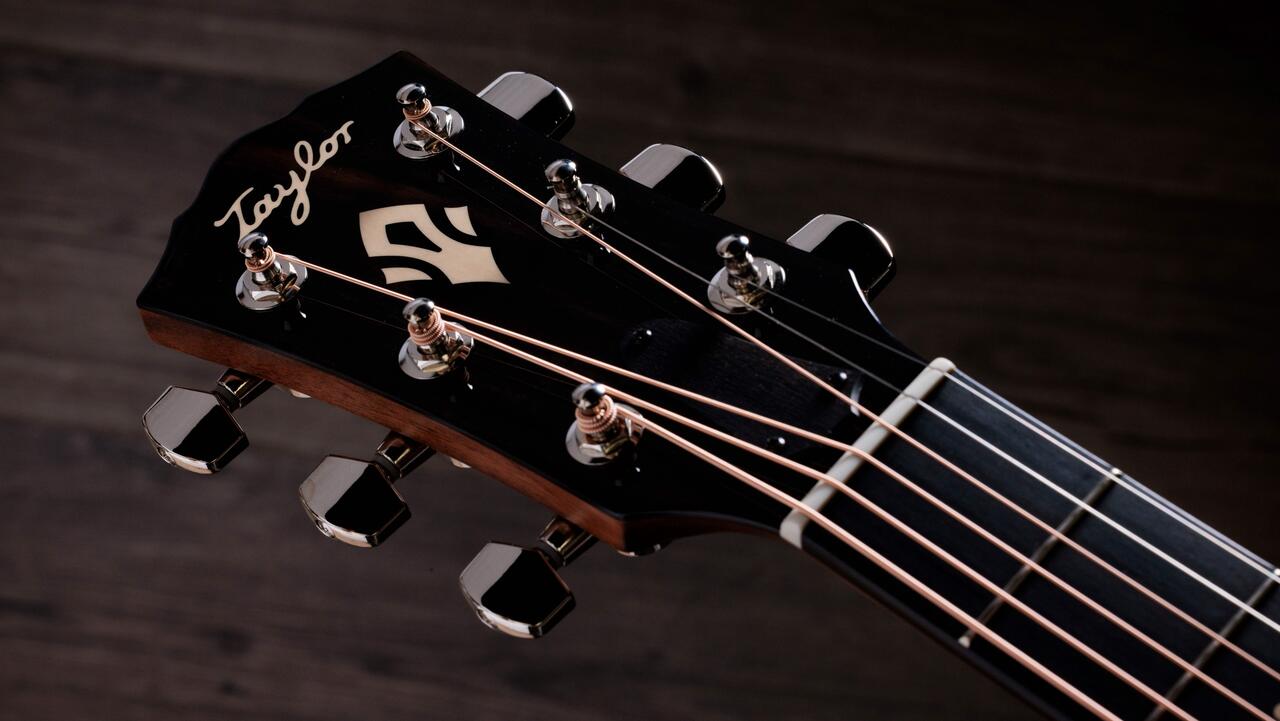 Taylor Gold Label 514e Electro Acoustic Guitar - Taylor-Gold-Label-514e-1204185095-gallery-09-2025.jpg