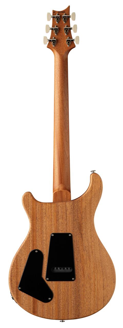 PRS Limited Edition S2 Special Semi-Hollow Reclaimed Electric Guitar - S2 Special Semi-Hollow Reclaimed G1_back.jpg