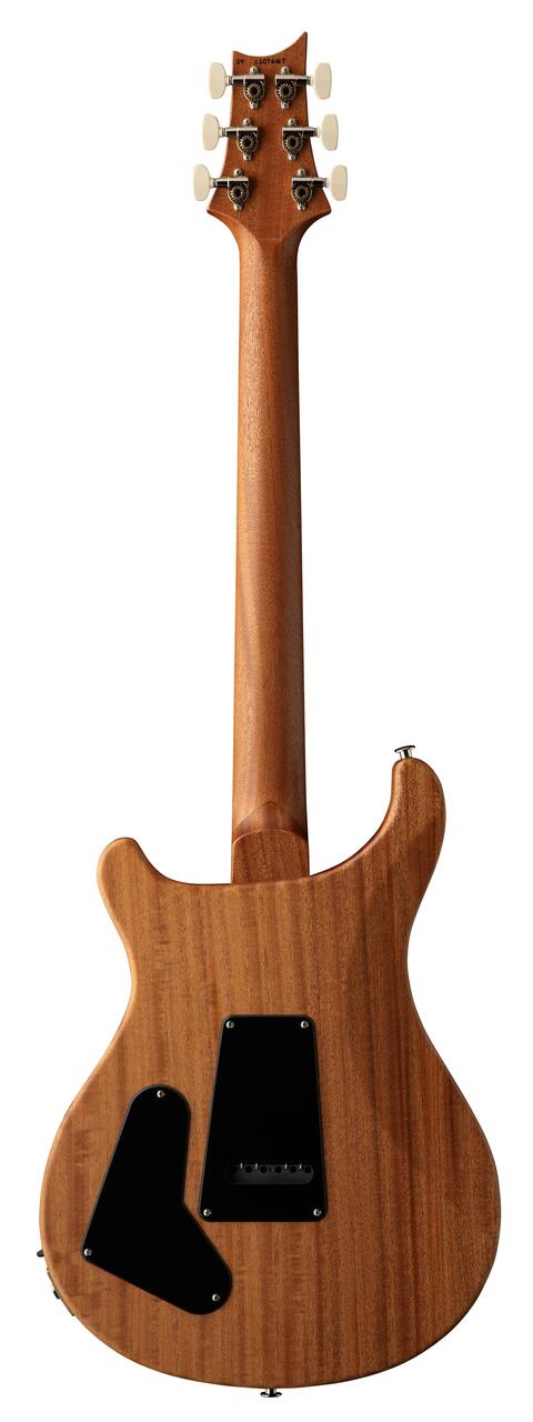 PRS Limited Edition S2 Special Semi-Hollow Reclaimed Electric Guitar - S2 Special Semi Hollow Reclaimed_back.jpg