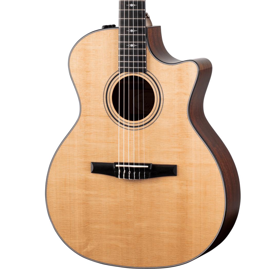Taylor 314ce-N Grand Auditorium Nylon String Acoustic - 314ceN-Front cropped.jpg