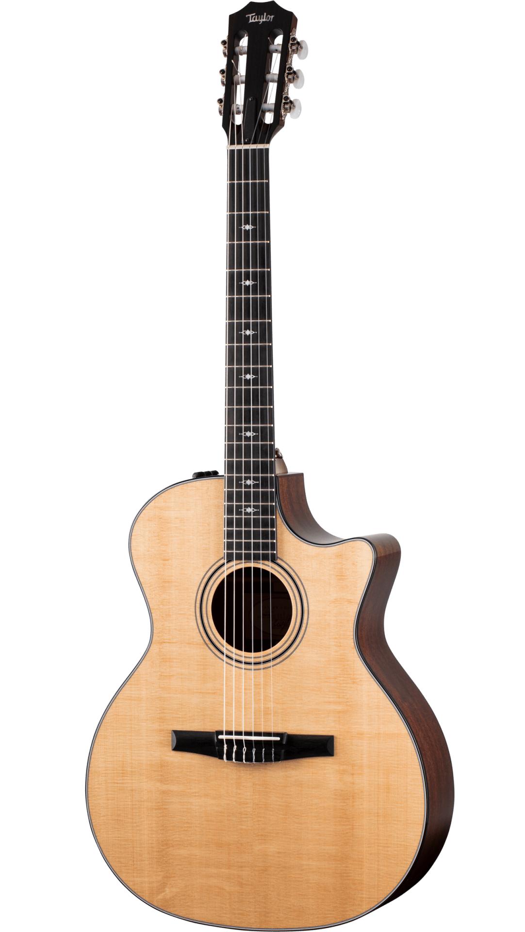 Taylor 314ce-N Grand Auditorium Nylon String Acoustic - 314ceN-Front.jpg