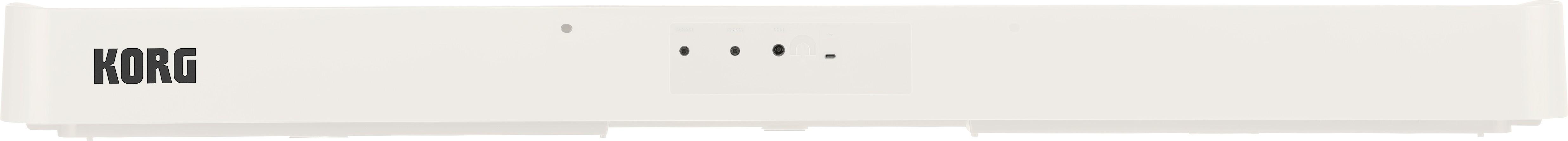 Korg B2 Plus in White - B2PLUS-WH_2.jpg