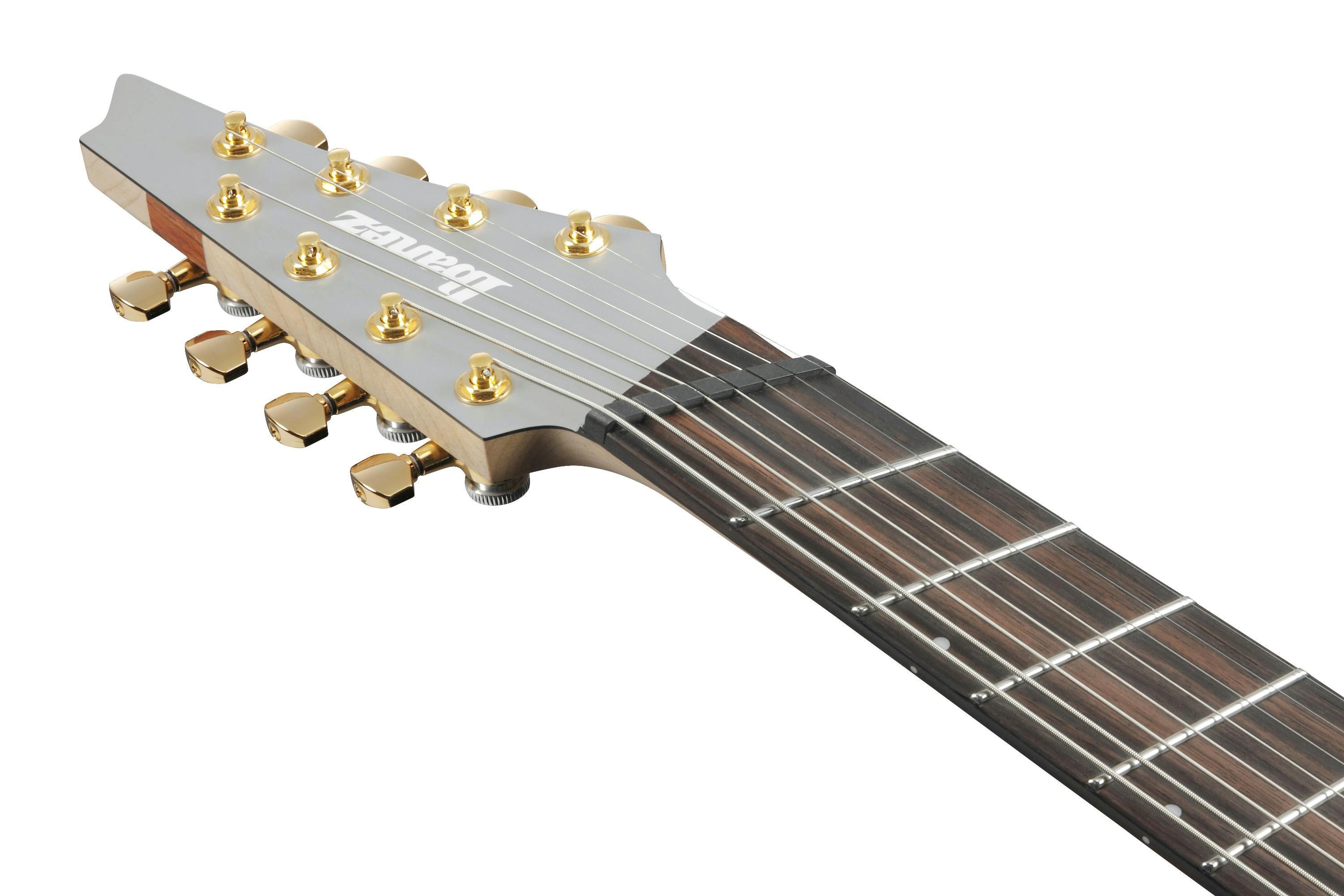 B Stock : Ibanez RGDMS8-CSM Classic Silver Matte Multiscale 8-String Electric Guitar 001 - RGDMS8-CSM-8.jpg