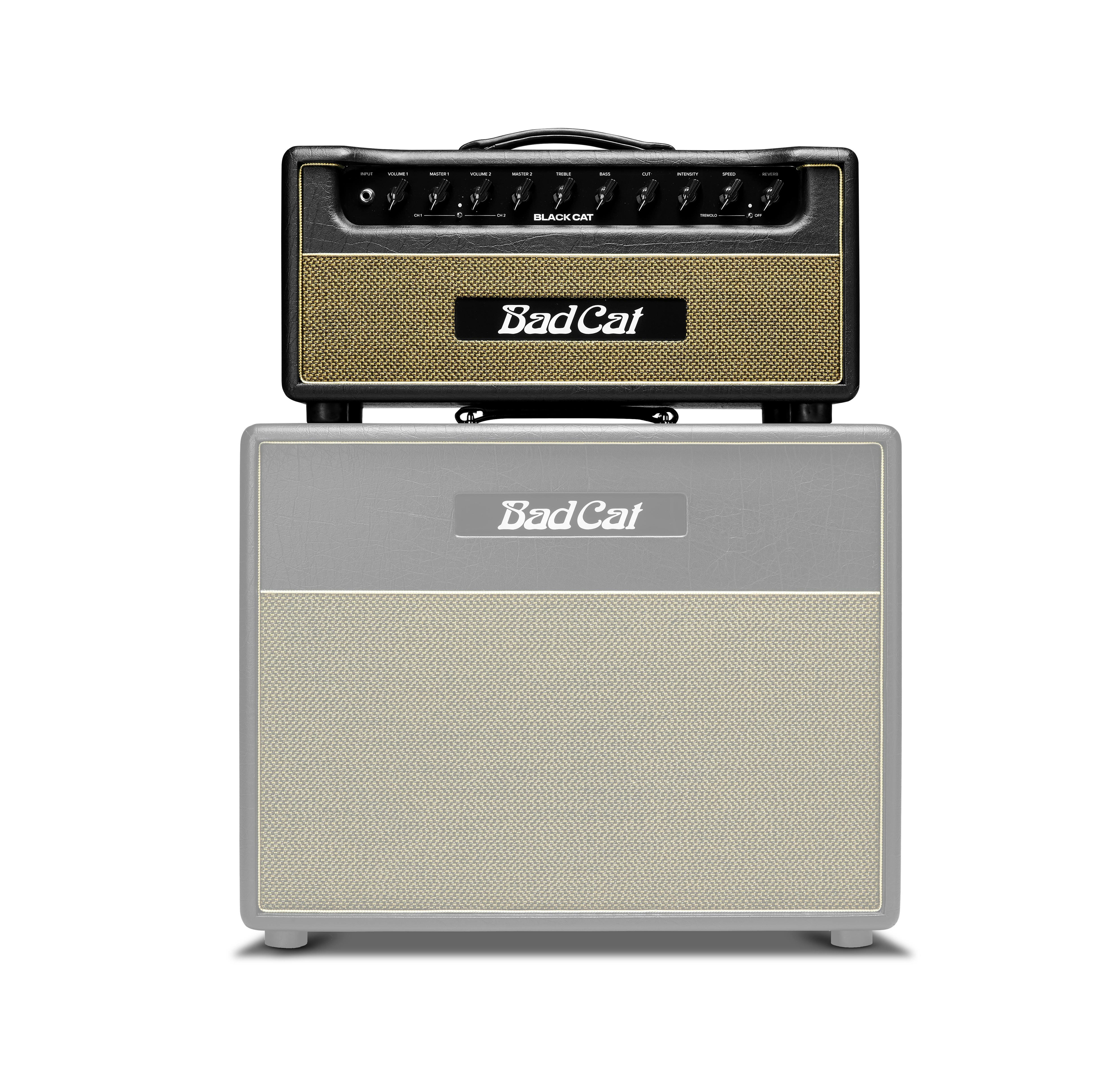 B Stock : Bad Cat Player Series II Black Cat Valve Amp Head 009 - BCP-2207-HD-240V-Bad-Cat-Player-Series-II-Black-Cat-20W-Valve-Amp-Head-5.jpg