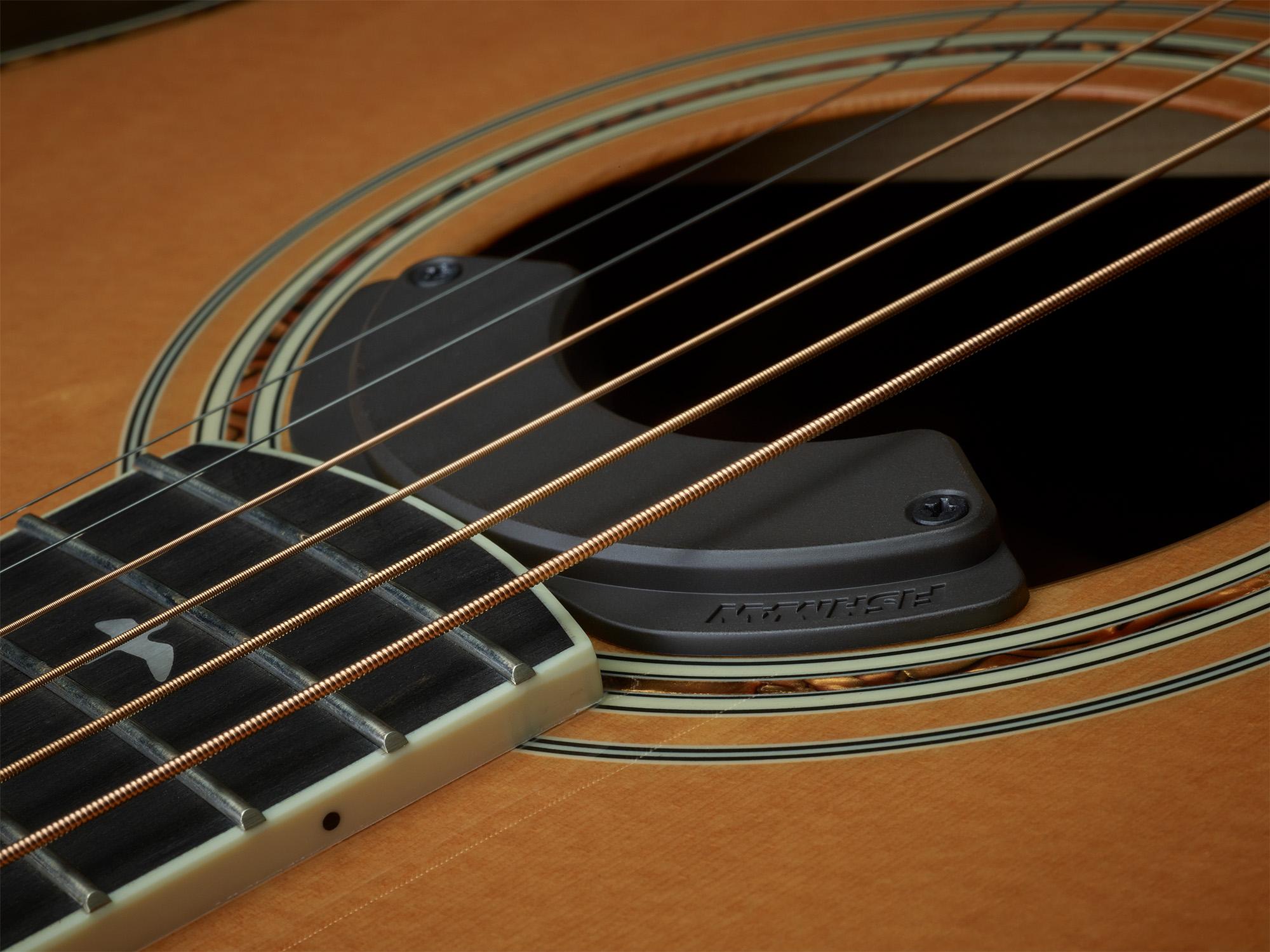 Fishman Fluence Acoustic Spotlight Pickup - Fluence_Acoustic_soundhole_birds1_37868.jpg