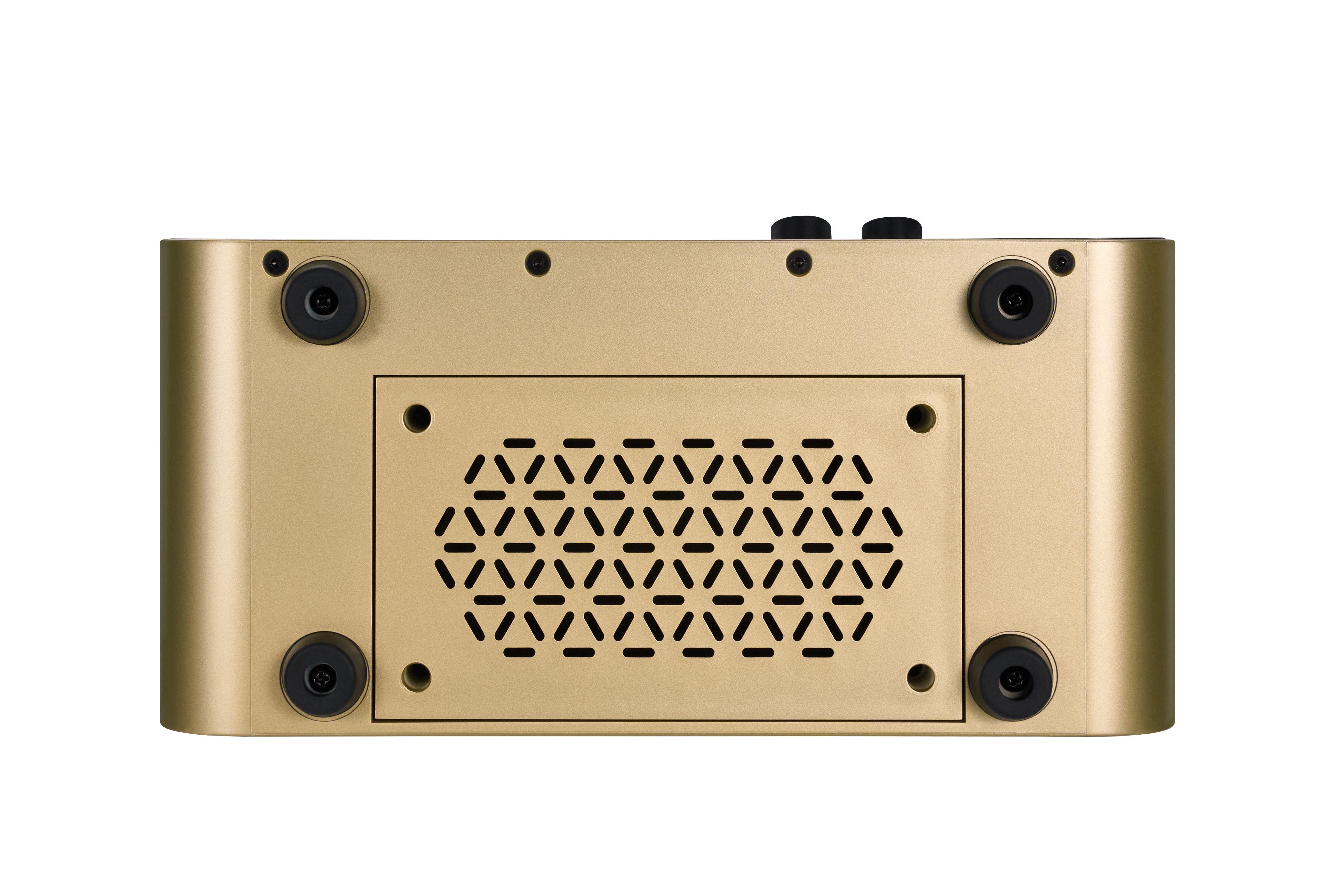 MOOER F15i Li Intelligent Desktop Amp with Lithium Battery in Gold - F15i Li-golden (11)_compressed.jpg