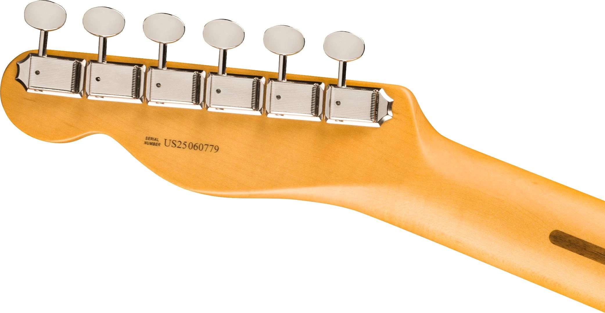 Fender American Professional Classic Telecaster in Butterscotch Blonde - 0114962350_fen_ins_hbk_1_nr.jpg