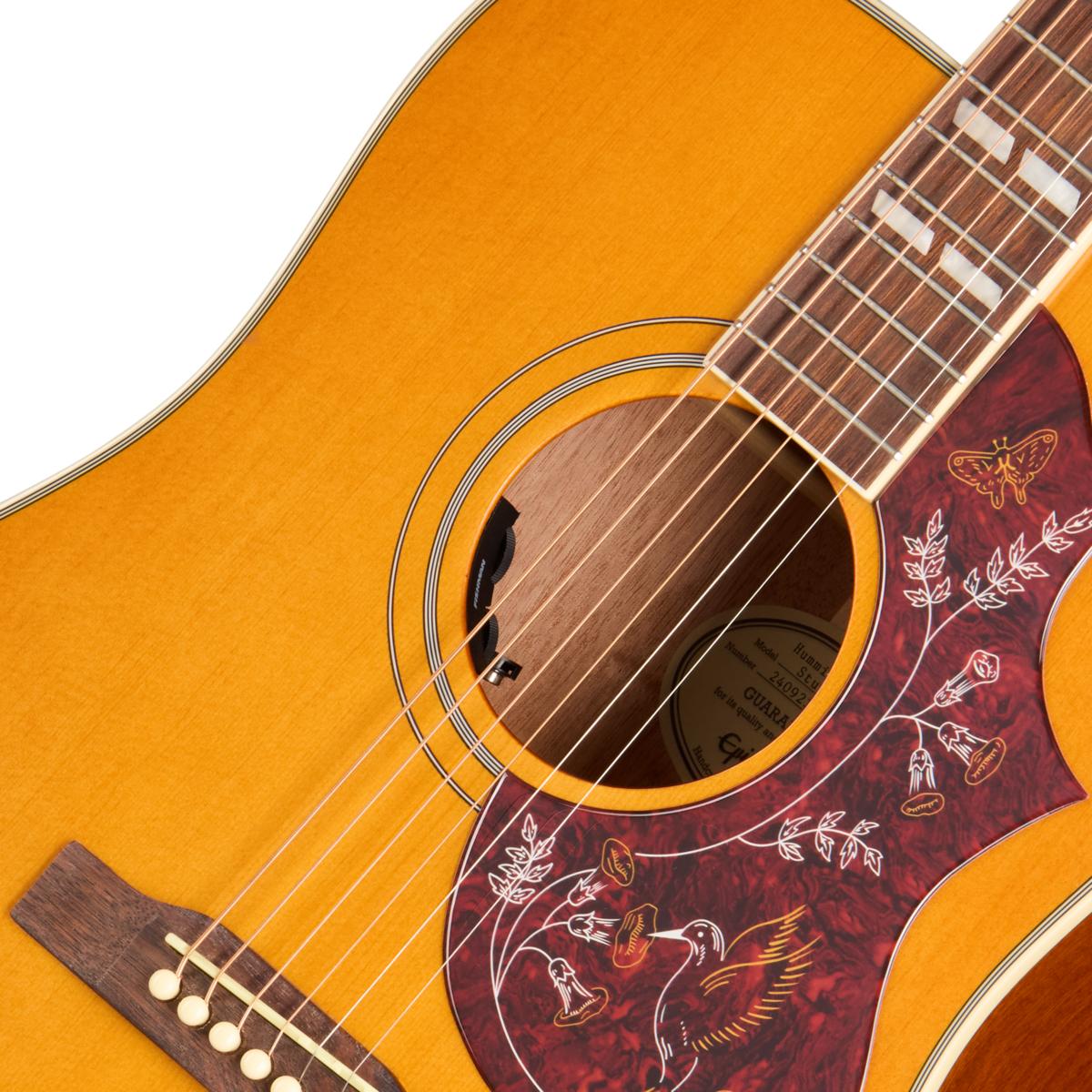 Epiphone Hummingbird Studio Electro Acoustic Guitar in Natural - EASHBANNH1_7_SoundHole-1200x1200-28e5ebb.jpg
