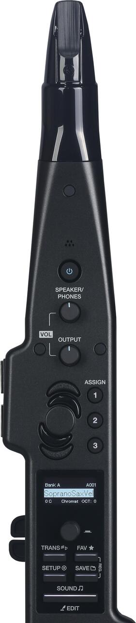 ASM Diosynth Digital Wind Synthesiser - DSWA_7.jpg