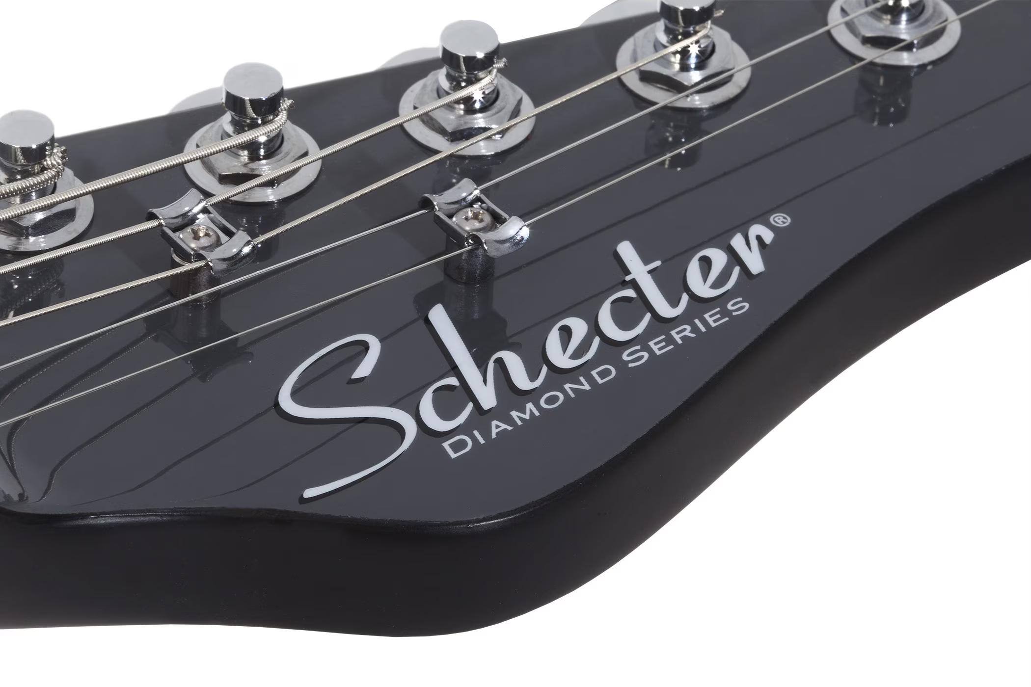 Schecter PT EX Baritone Electric Guitar in Dorian Gray - SCH-GTR-2148-Logo.jpg