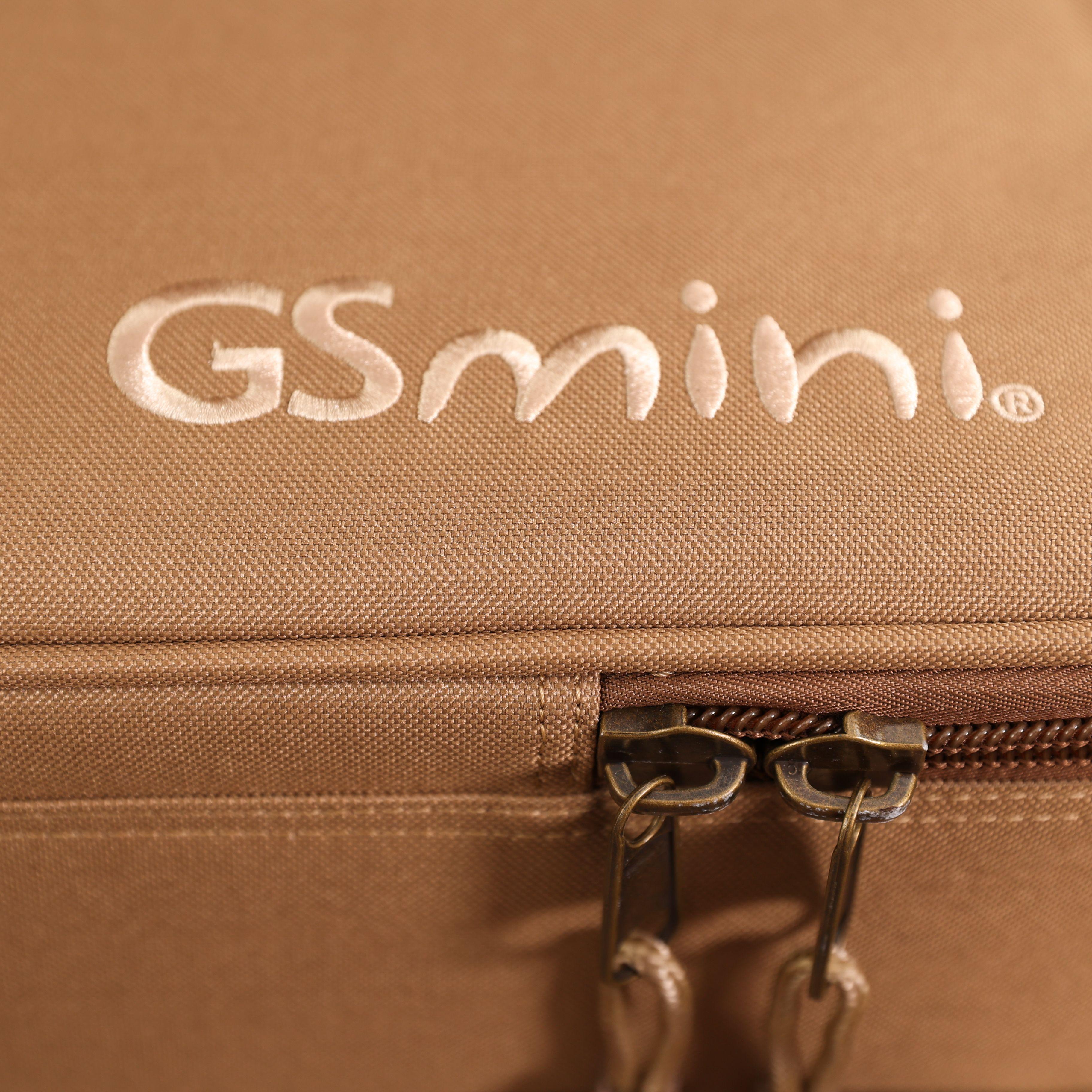 Taylor GS Mini-e Special Edition Electro Acoustic Guitar in Silverburst - EDITS (1)_compressed.jpg