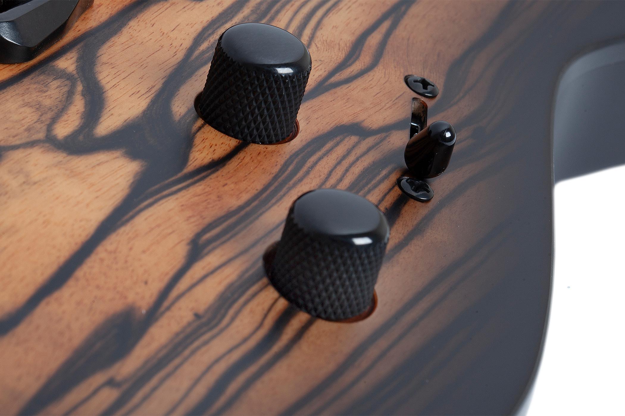 Schecter C-1 Pale Moon Electric Guitar in Natural Satin Black Burst - SCH-GTR-692-Controls.jpg