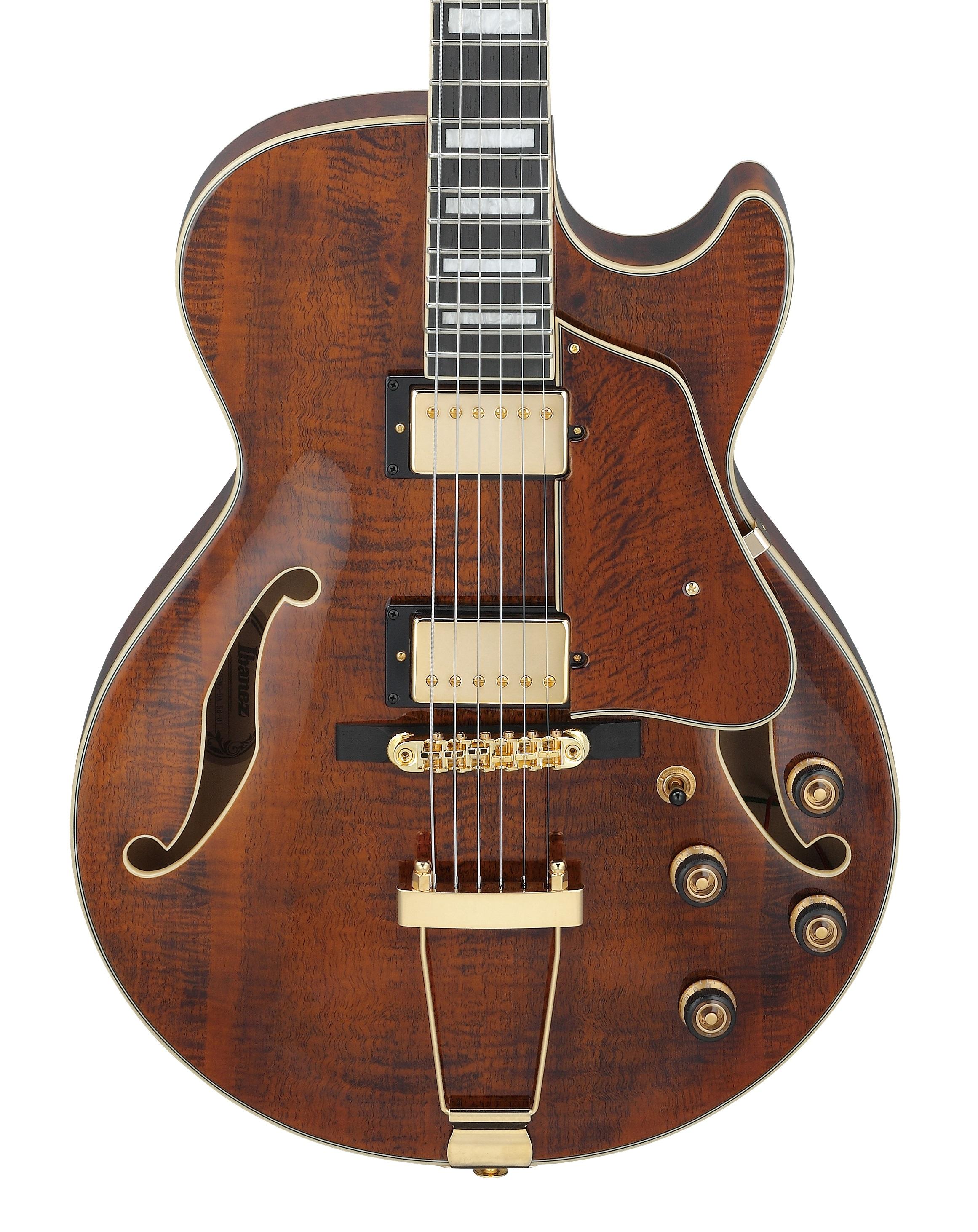 Ibanez AG95MG-DA Artcore Expressionist Hollow Body Electric Guitar