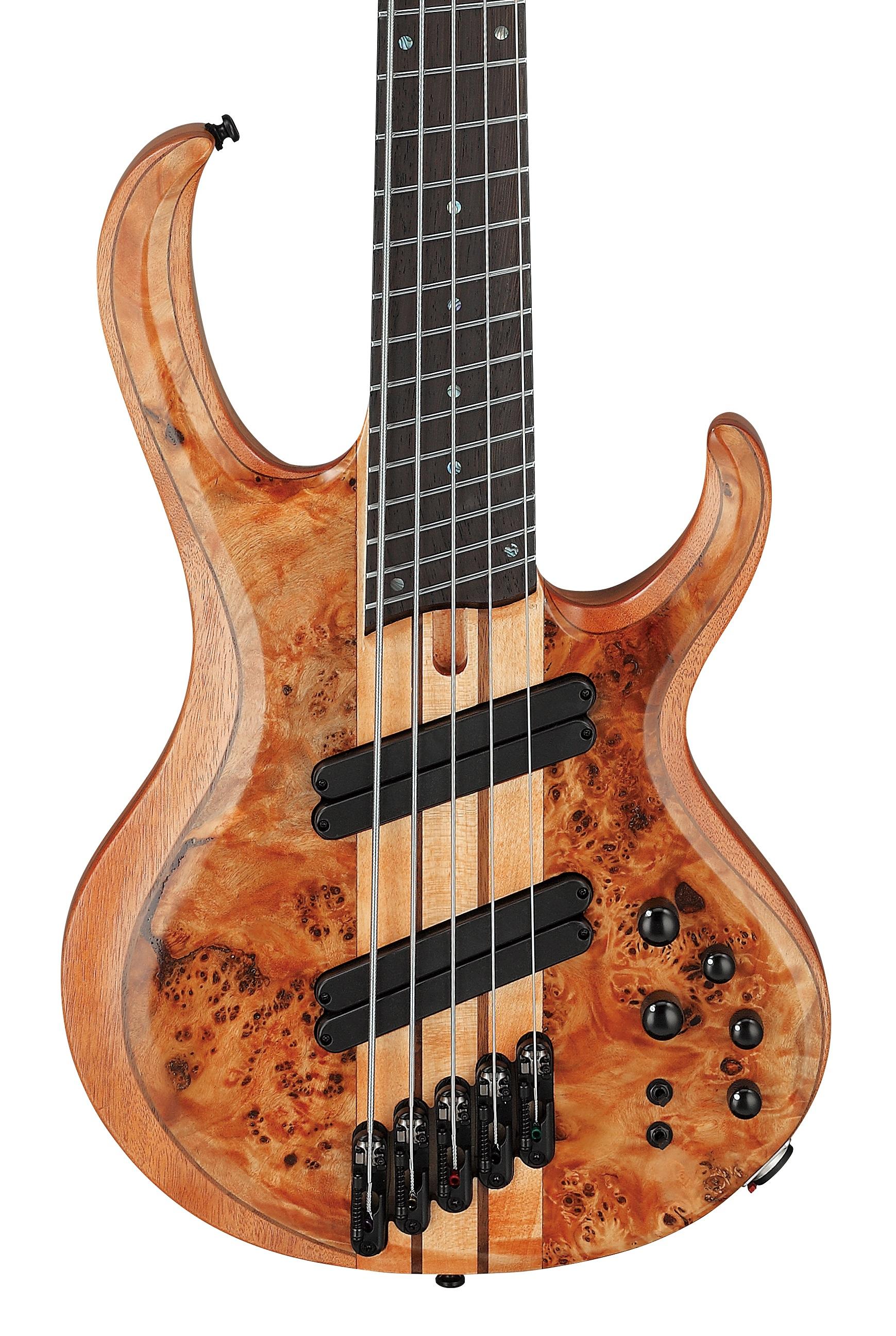Ibanez BTB805MS-FNL 5-String Multi-Scale Bass Guitar in Florid Natural Low Gloss - BTB805MS_FNL_1P_02_F.jpg
