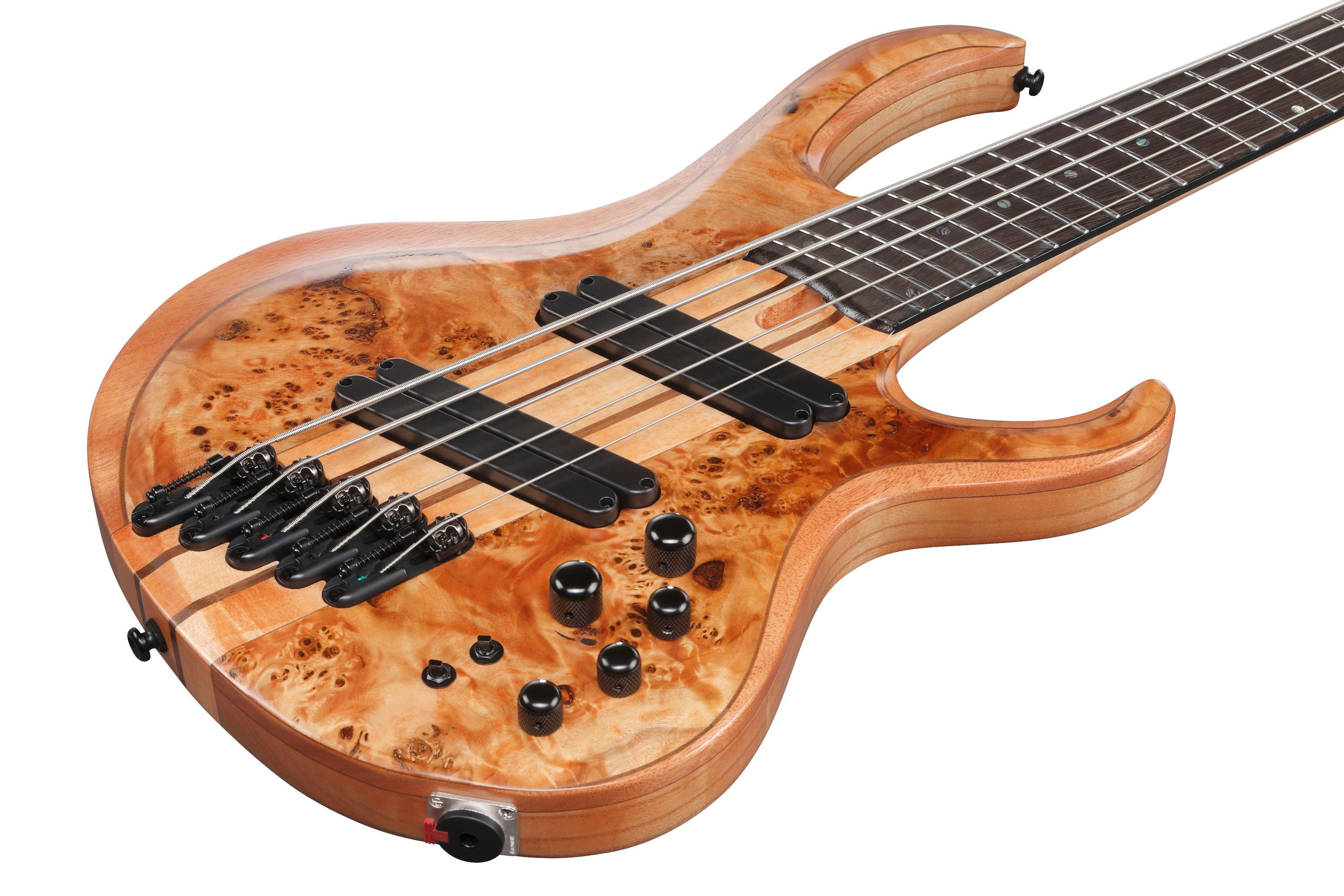Ibanez BTB805MS-FNL 5-String Multi-Scale Bass Guitar in Florid