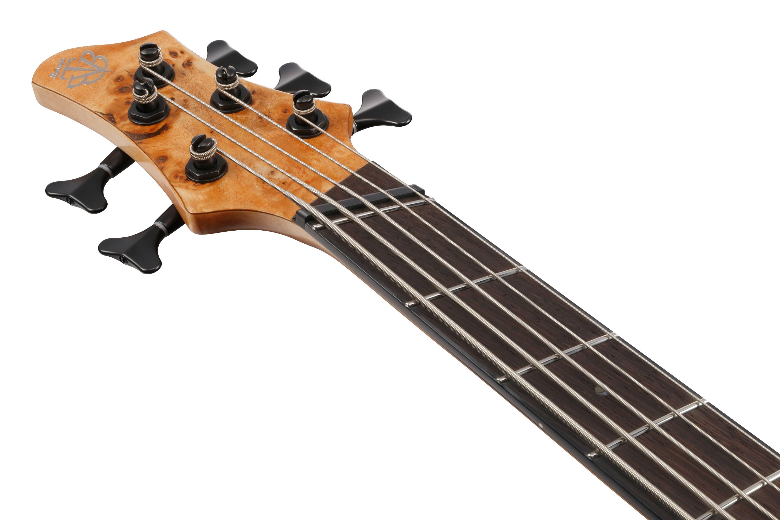 Ibanez BTB805MS-FNL 5-String Multi-Scale Bass Guitar in Florid Natural Low Gloss - BTB805MS_FNL_1P_02_J.jpg