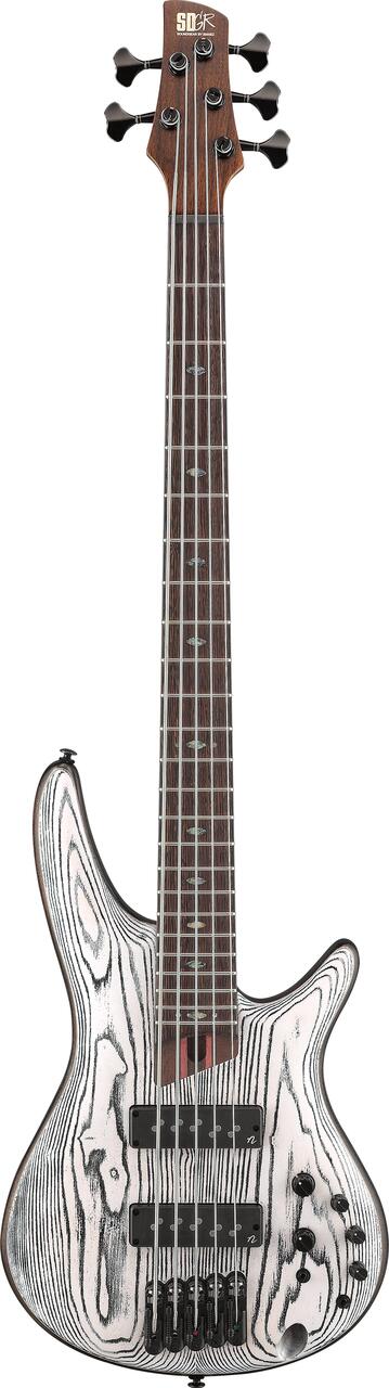 Ibanez SR1325SB-IVF Premium 5-String Bass Guitar in Icebreaker Wave Flat - SR1325SB_IVF_1P_01_A.jpg