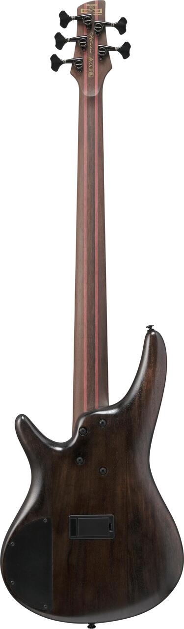 Ibanez SR1325SB-IVF Premium 5-String Bass Guitar in Icebreaker Wave Flat - SR1325SB_IVF_1P_01_C.jpg