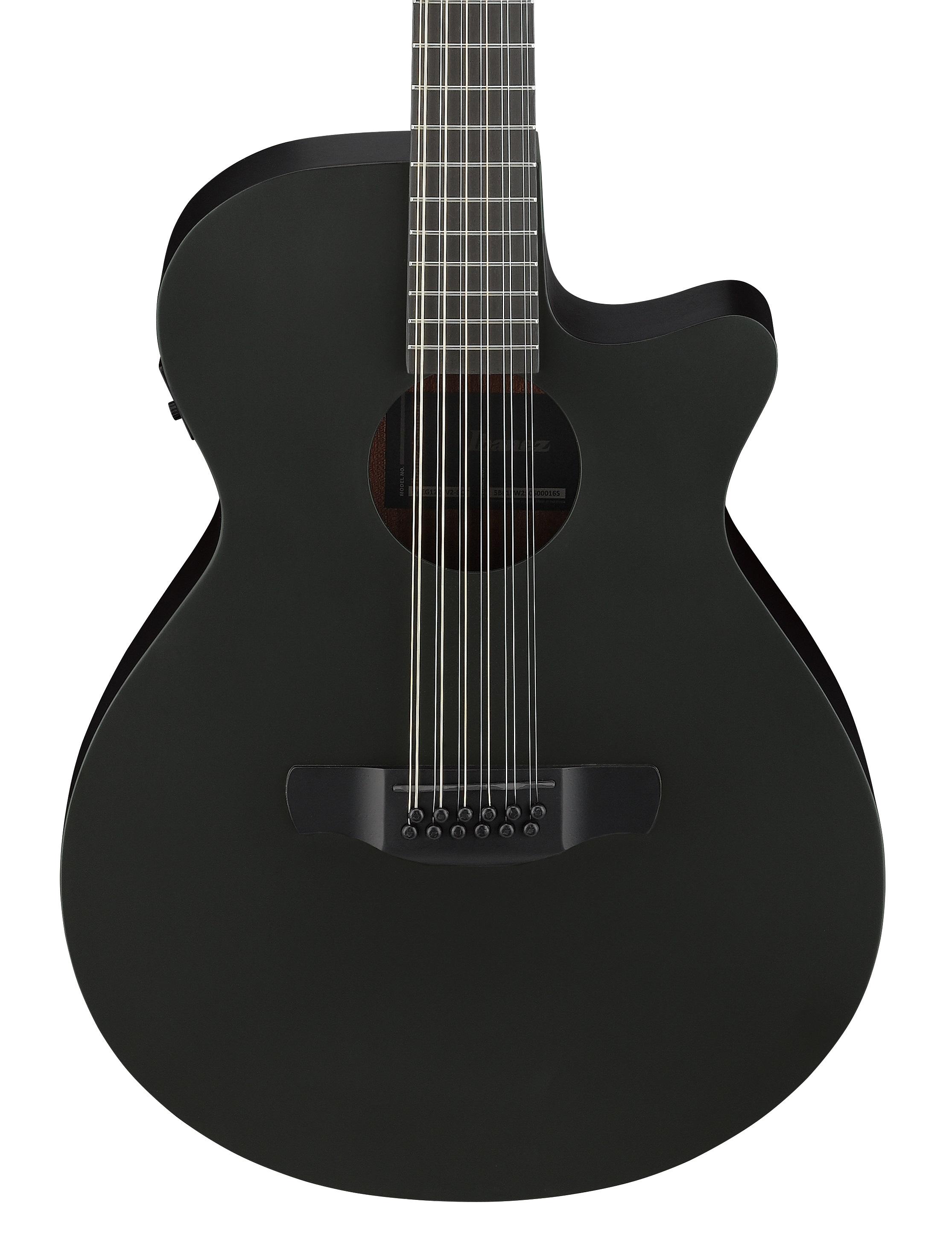 Ibanez AEG1221-BOT 12-String Electro Acoustic Guitar in Black Out - AEG1221_BOT_5B_01_F.jpg