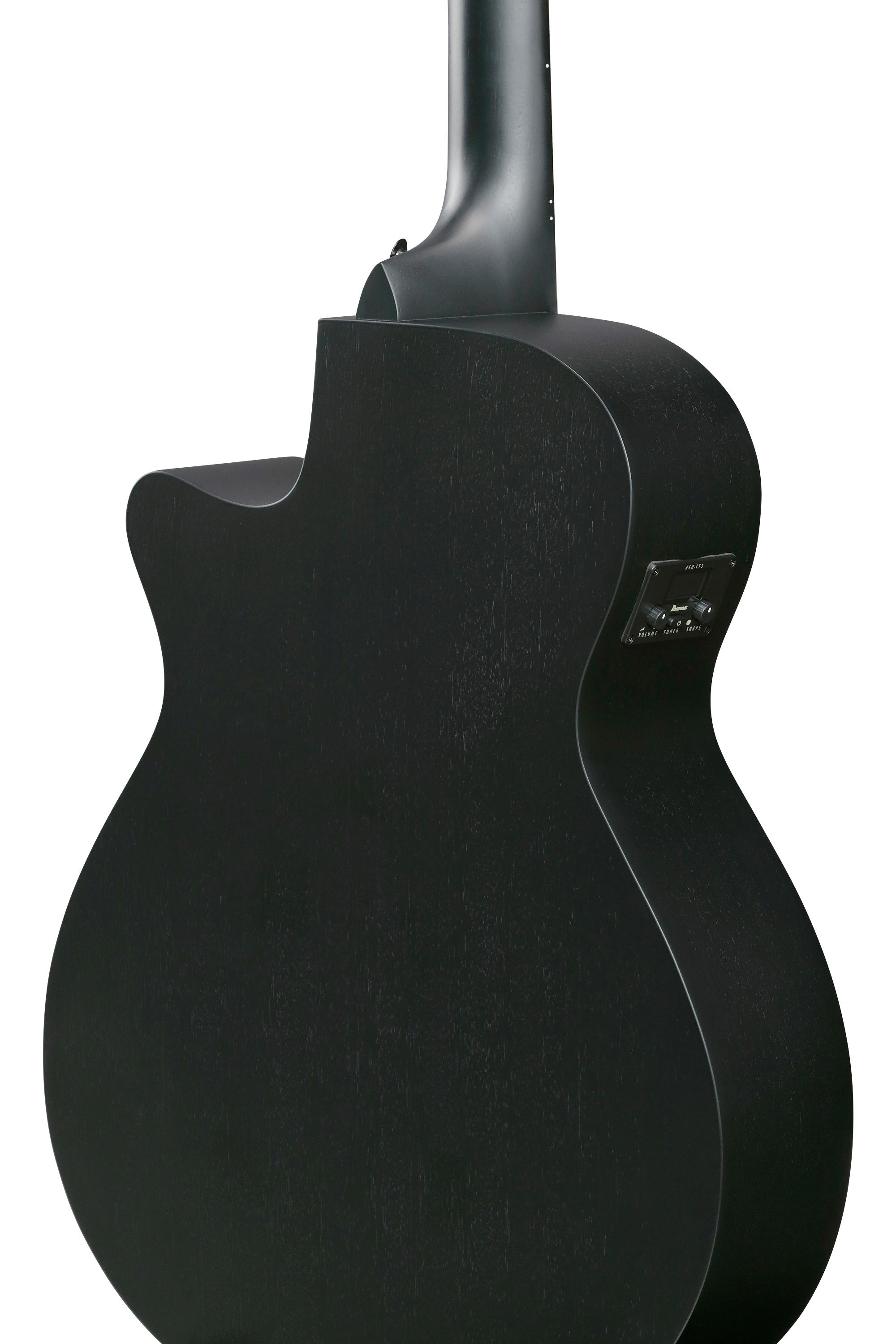 Ibanez AEG1221-BOT 12-String Electro Acoustic Guitar in Black Out - AEG1221_BOT_5B_01_I.jpg