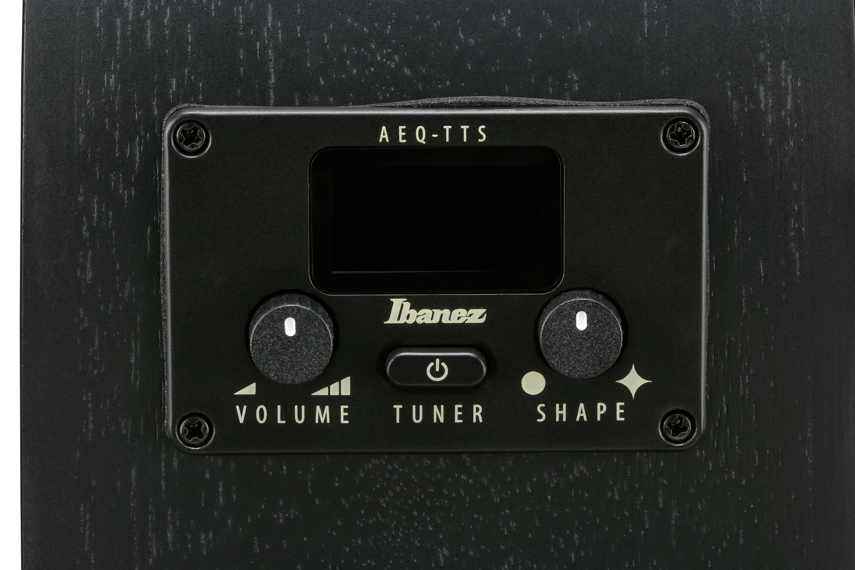 Ibanez AEG621-BOT Electro Acoustic Guitar in Black Out - AEG621_BOT_5B_01_L.jpg