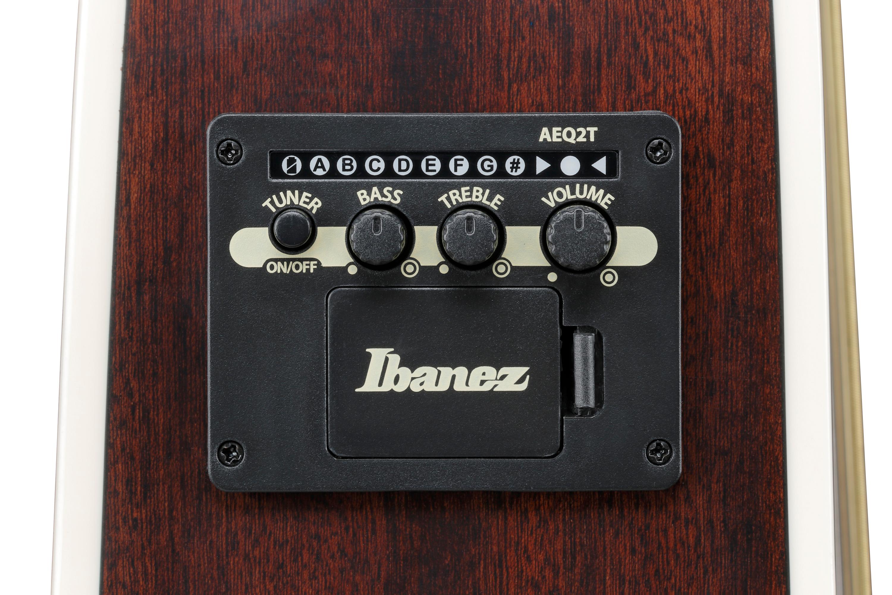 Ibanez ALT50FA-BDB Altstar Electro Acoustic Guitar in Blue Doom Burst High Gloss - ALT50FA_BDB_2Y_01_L.jpg