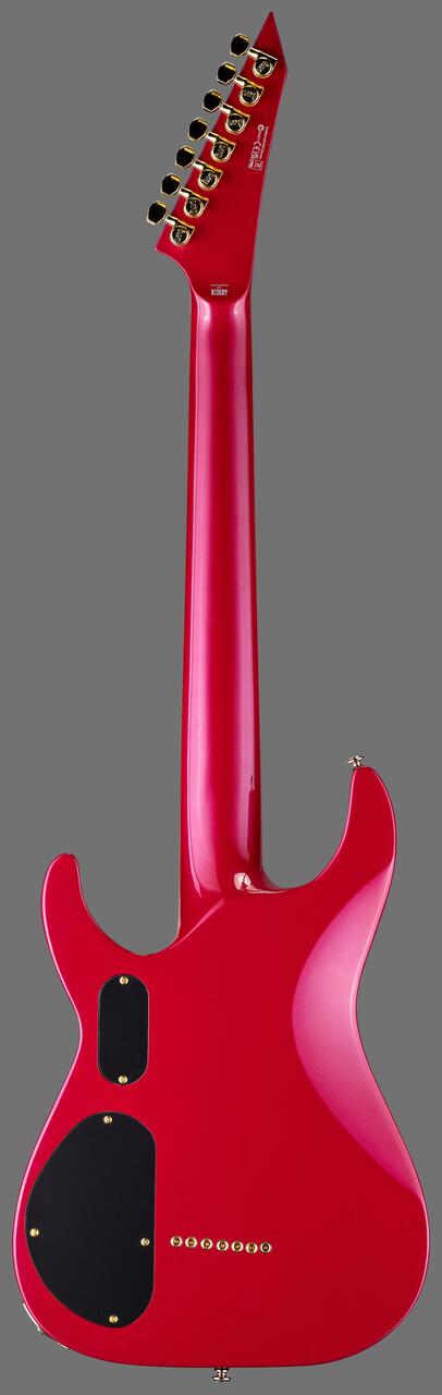 S*r様 ESP LTD エレキギター ナチュラルカラー ESP LTD Stephen Carpenter Signature SC-607 7-String Baritone