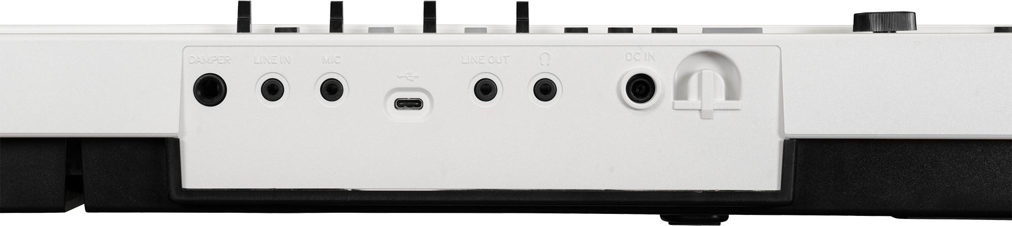 Korg Liano Live Compact Digital Piano - L1-LIVE_4.jpg