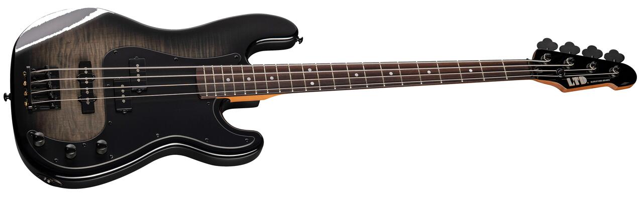 ESP LTD SURVEYOR-204DX Bass Guitar in Black Burst - SURVEYOR-204DX_BLKB_ANGLED_compressed.jpg