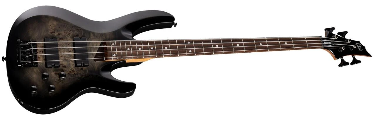 ESP LTD B-204DX Bass Guitar in Black Burst - B-204DX_BLKB_ANGLED_compressed.jpg