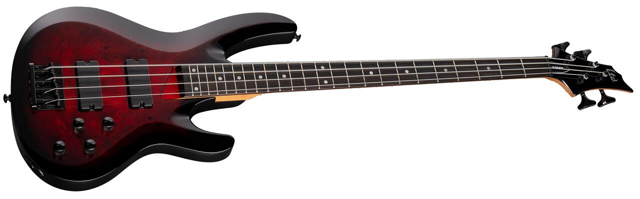 ESP LTD B-204DX Bass Guitar in Red Burst - B-204DX_REDB_ANGLED_compressed.jpg