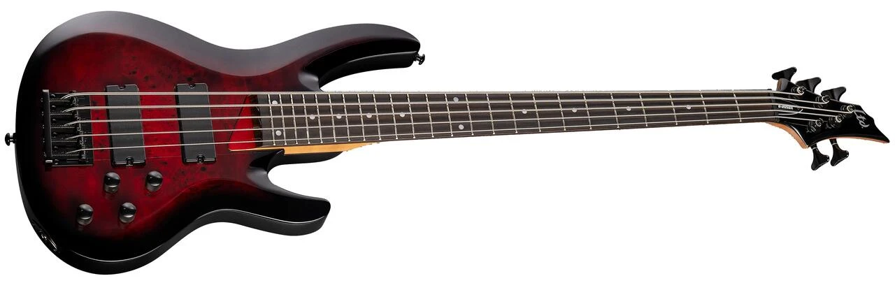 ESP LTD B-205DX 5-String Bass Guitar in Red Burst - B-205DX_REDB_ANGLED_compressed.jpg