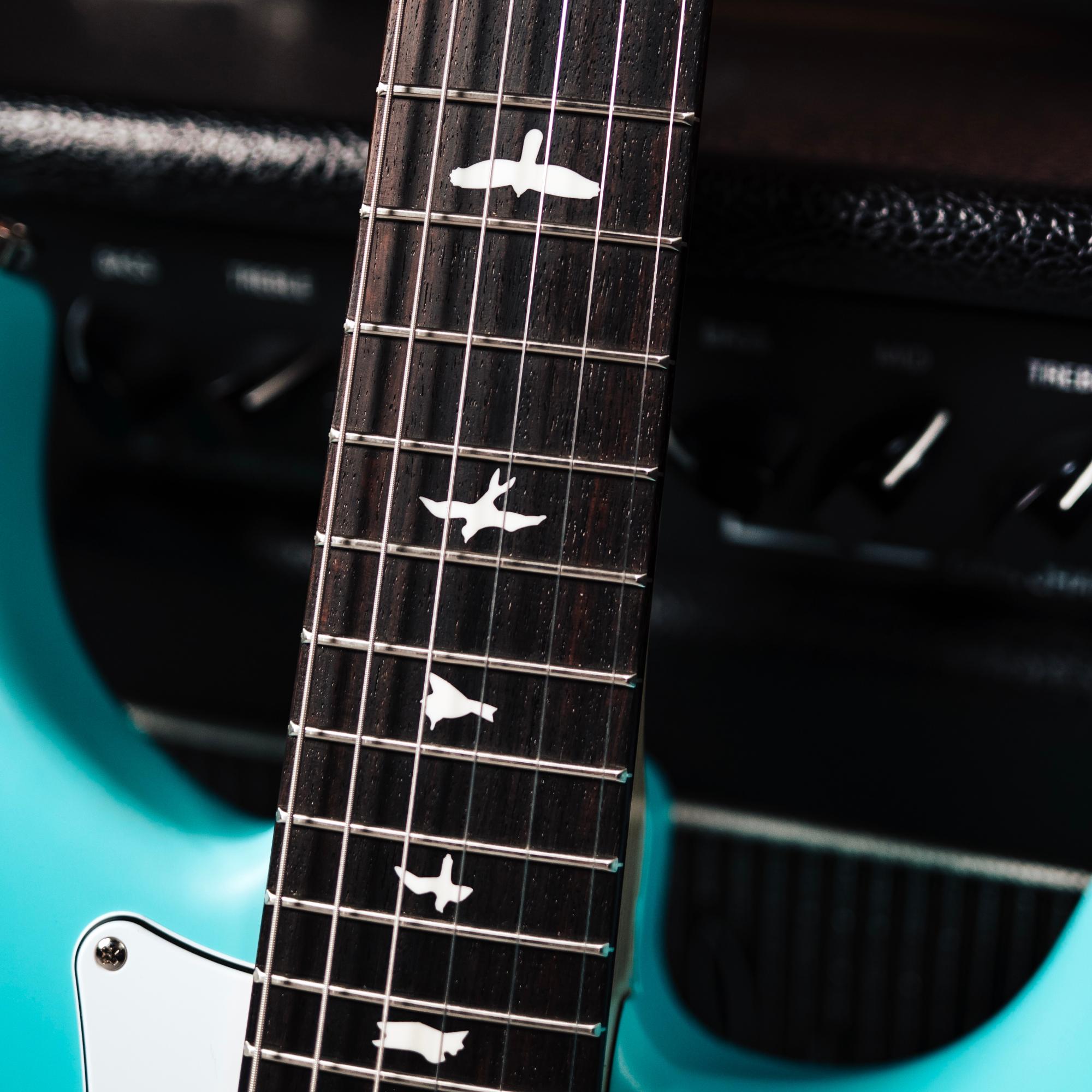 PRS Limited Edition John Mayer Silver Sky Electric Guitar in Wild Blue Satin - 117549JY-PRS-Silver-Sky-Wild-Blue-Limited-Edition-Inlays.jpg