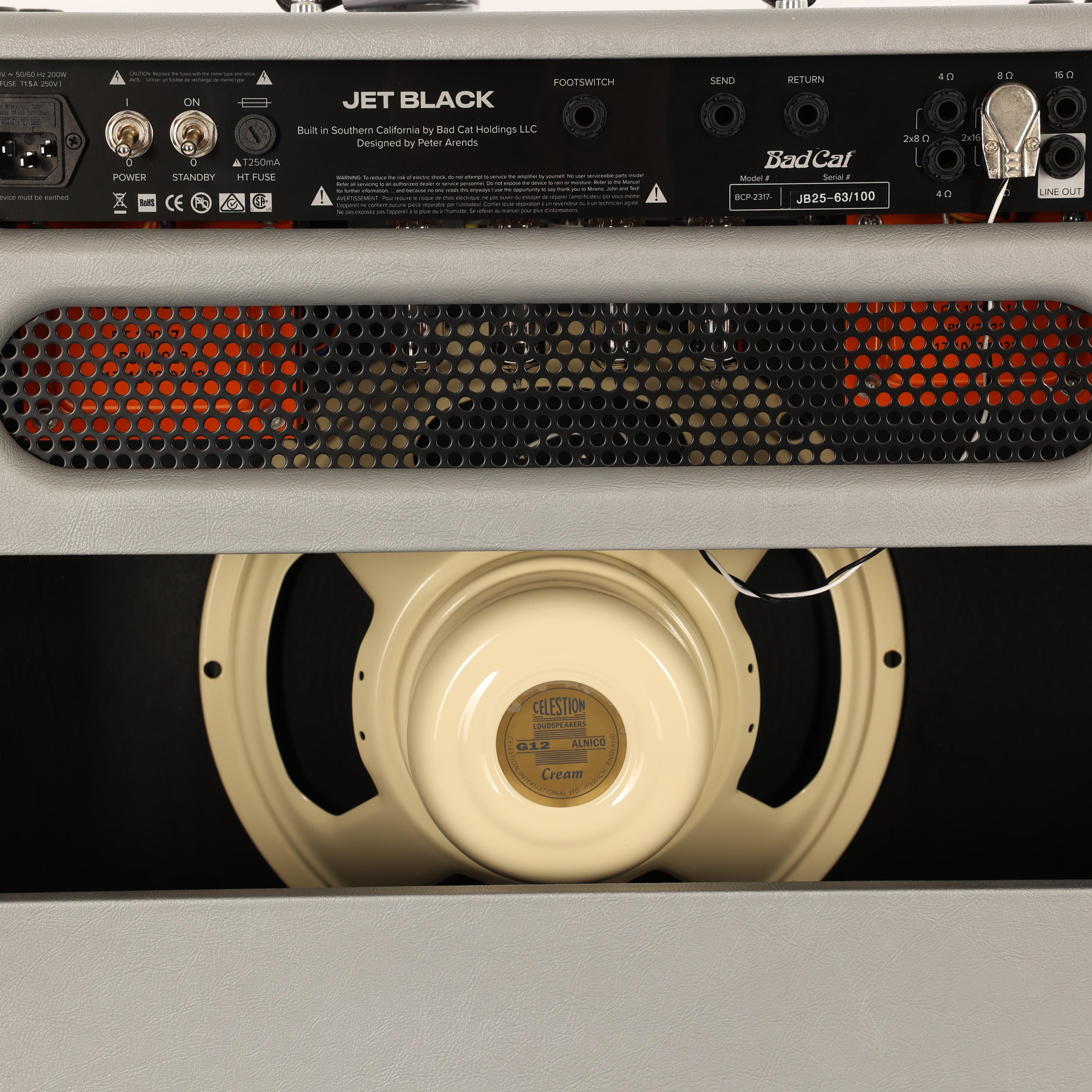 Second Hand Bad Cat Jet Black 1x12" 38W Valve Amp Combo in 25th Anniversary Silver Vinyl #596 - SH-141-5596 (7).jpg